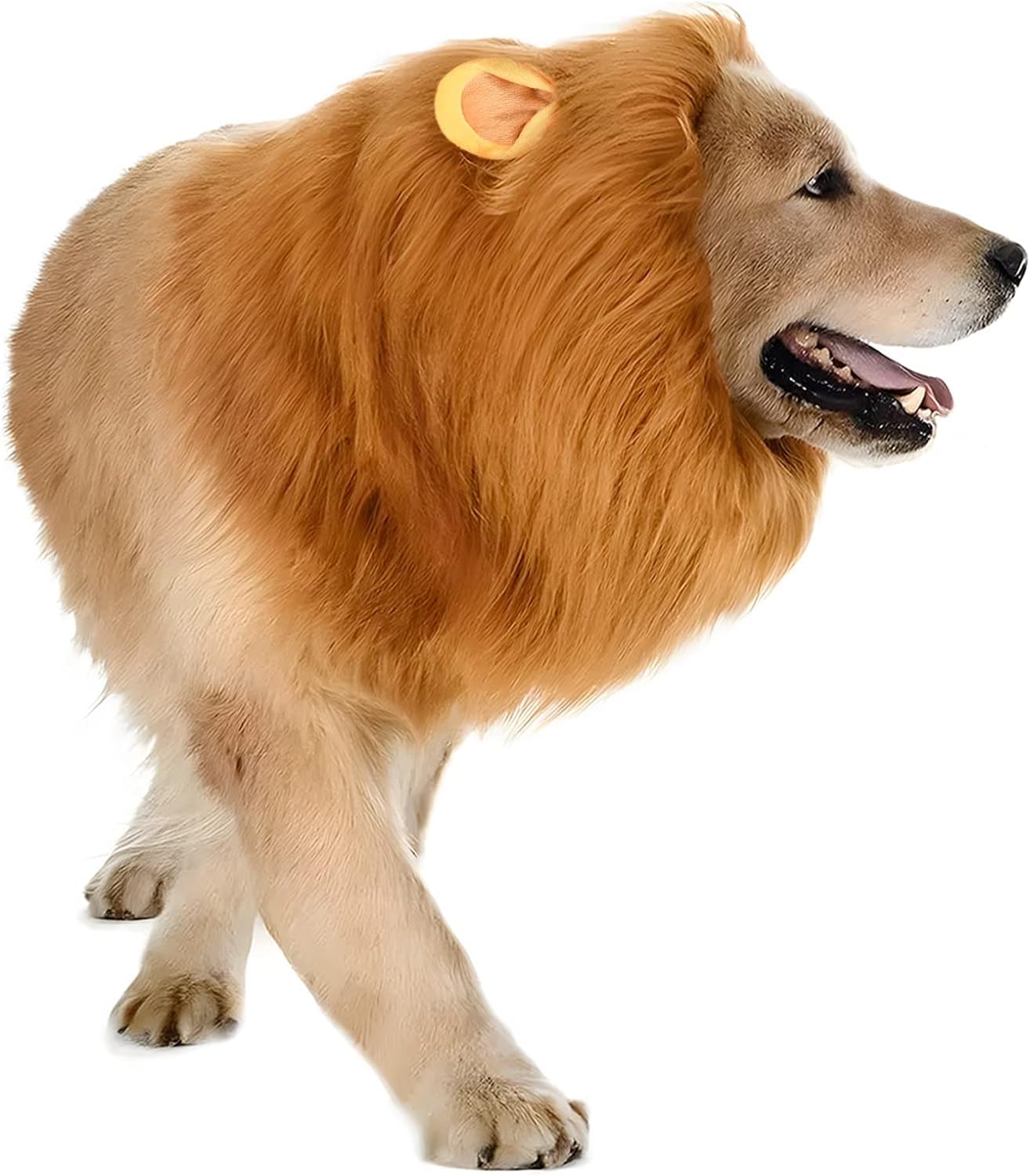 Disfraz Perro Halloween Y Carnaval. Disfraces para Perros Medianos O Grandes. Disfraz Mascota. Deja Que Tu Fiel Amigo Hechice El Carnaval.