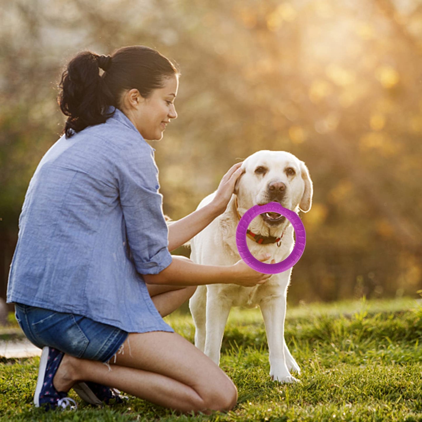 Frisbees para Perros Flotador para Perros Interactivo Duradero Anillo de Fitness para Perros Ejercicio Equipos de Agilidad para Perros para Perros Pequeños Medianos y Grandes