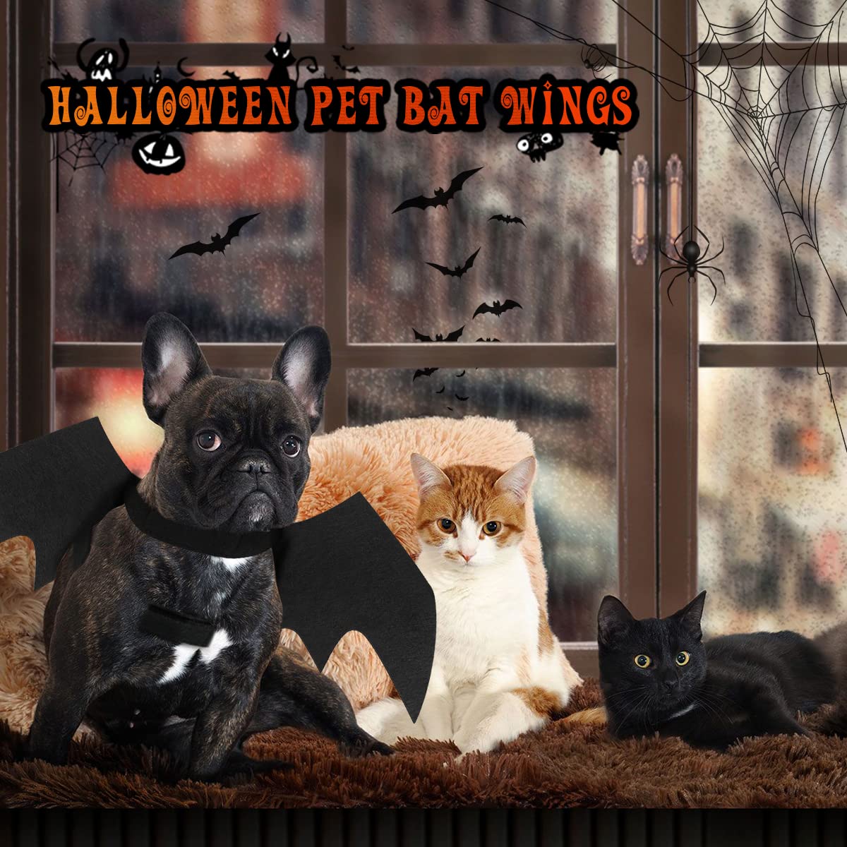 disfraz de perro de murciélago de halloween,disfraz halloween gato alas murcielago perro disfraces para perros halloween