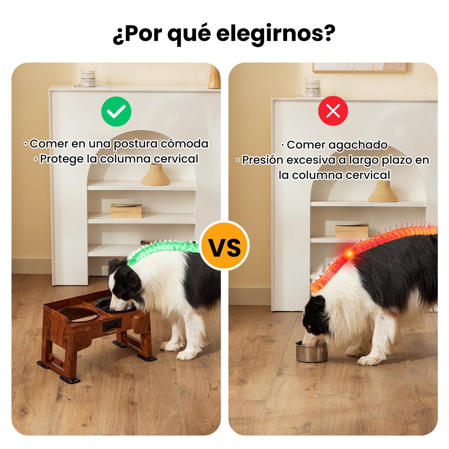 Gardner Pet Cuencos elevados para perros