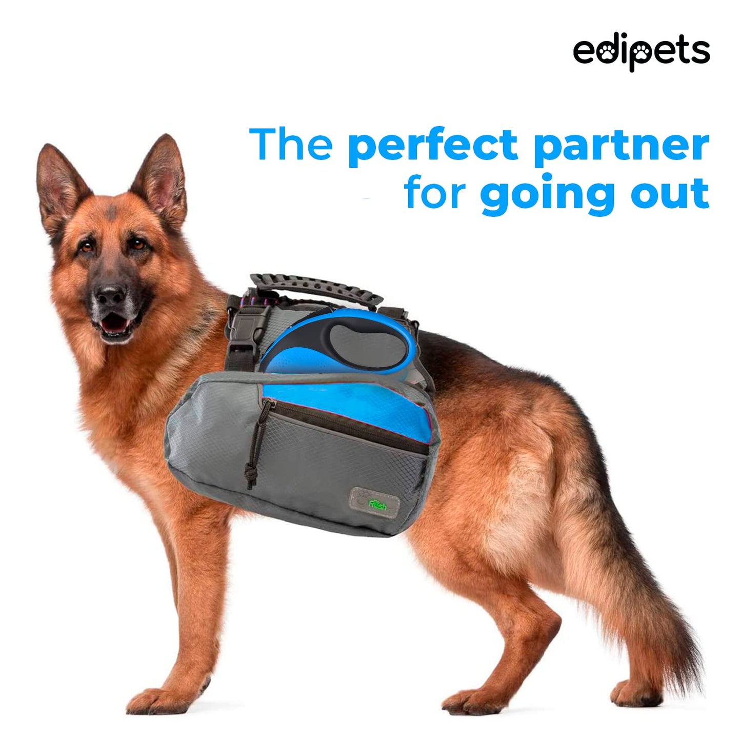 Correa Perro Extensible, Retráctil, 8 Metros, Incluye Dispensador de Bolsas, Cinta Flexible para Adiestramiento y Paseo, para Perros Pequeños, Medianos y Grandes (Azul, 8 Metros)