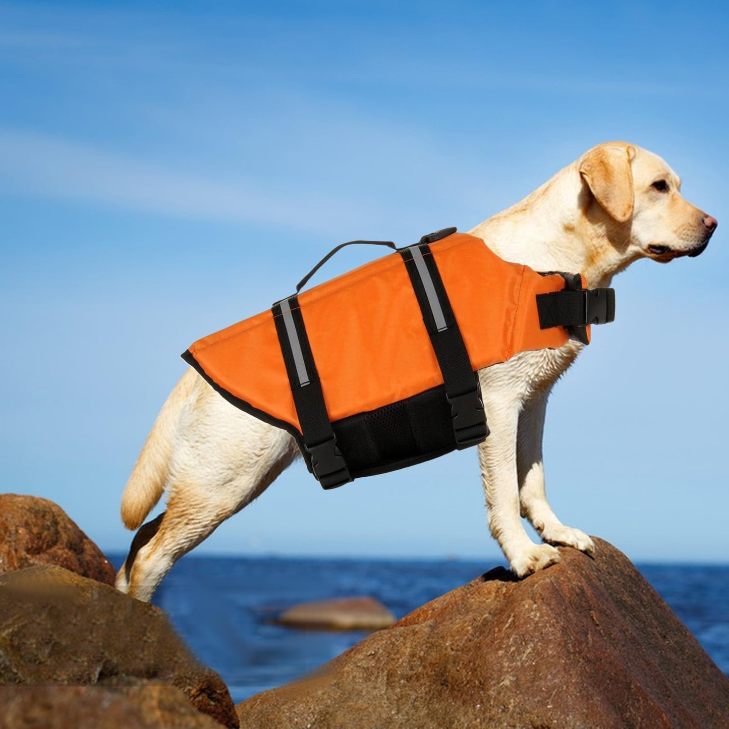 Chaleco de natación para perro, chaleco de flotación para perro, reflectante, transpirable, ajustable, arnés flotante para piscina, kayak, rafting, lago