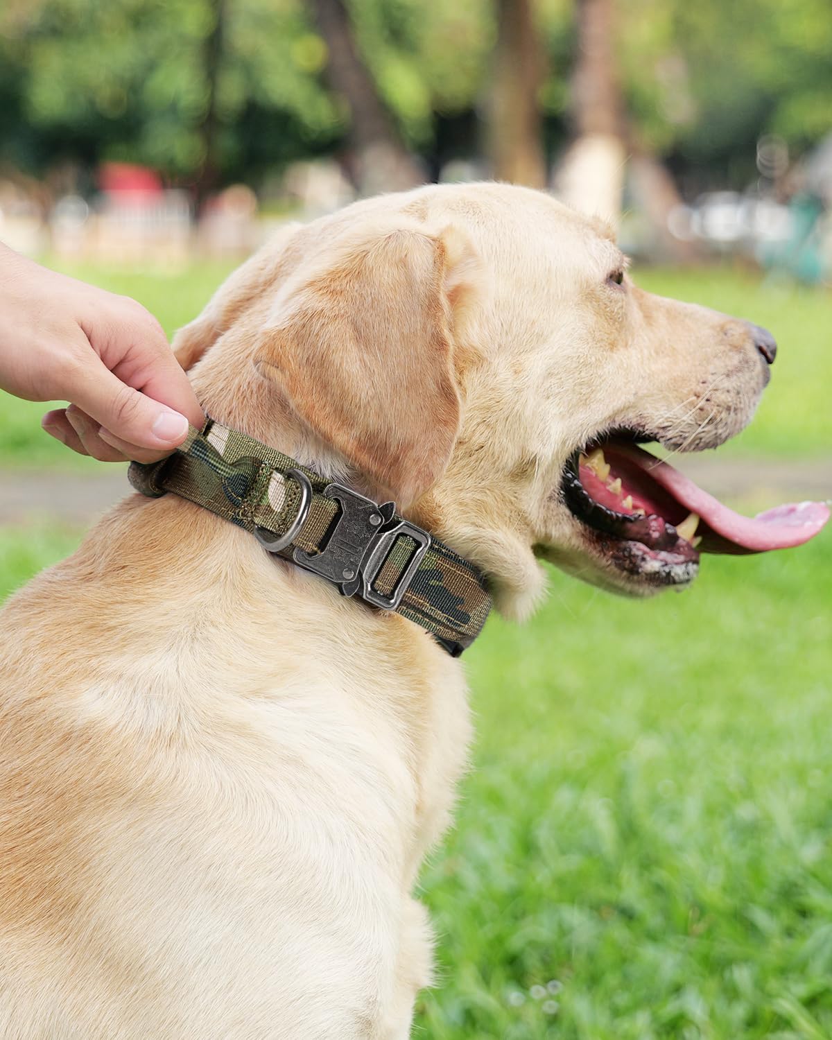 Collar Perro, Táctica Collar Perro Mediano con Mango de Control, Resistente Collares para Perros, Camuflaje, M