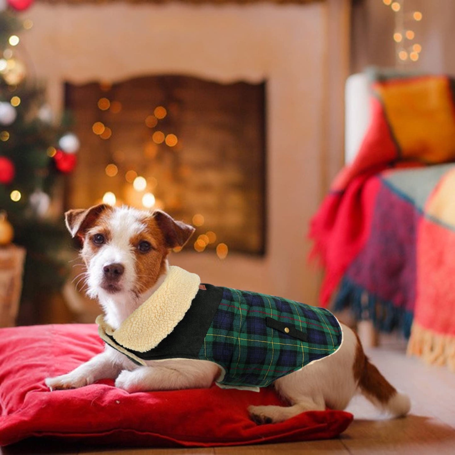 Abrigo para Perro Invierno - Chaleco Polar Grueso con Estampado Tartán, Ropa Cálida para Perros Pequeños/Medianos, Chaqueta Térmica Chihuahua o Teckel, Verde, XS