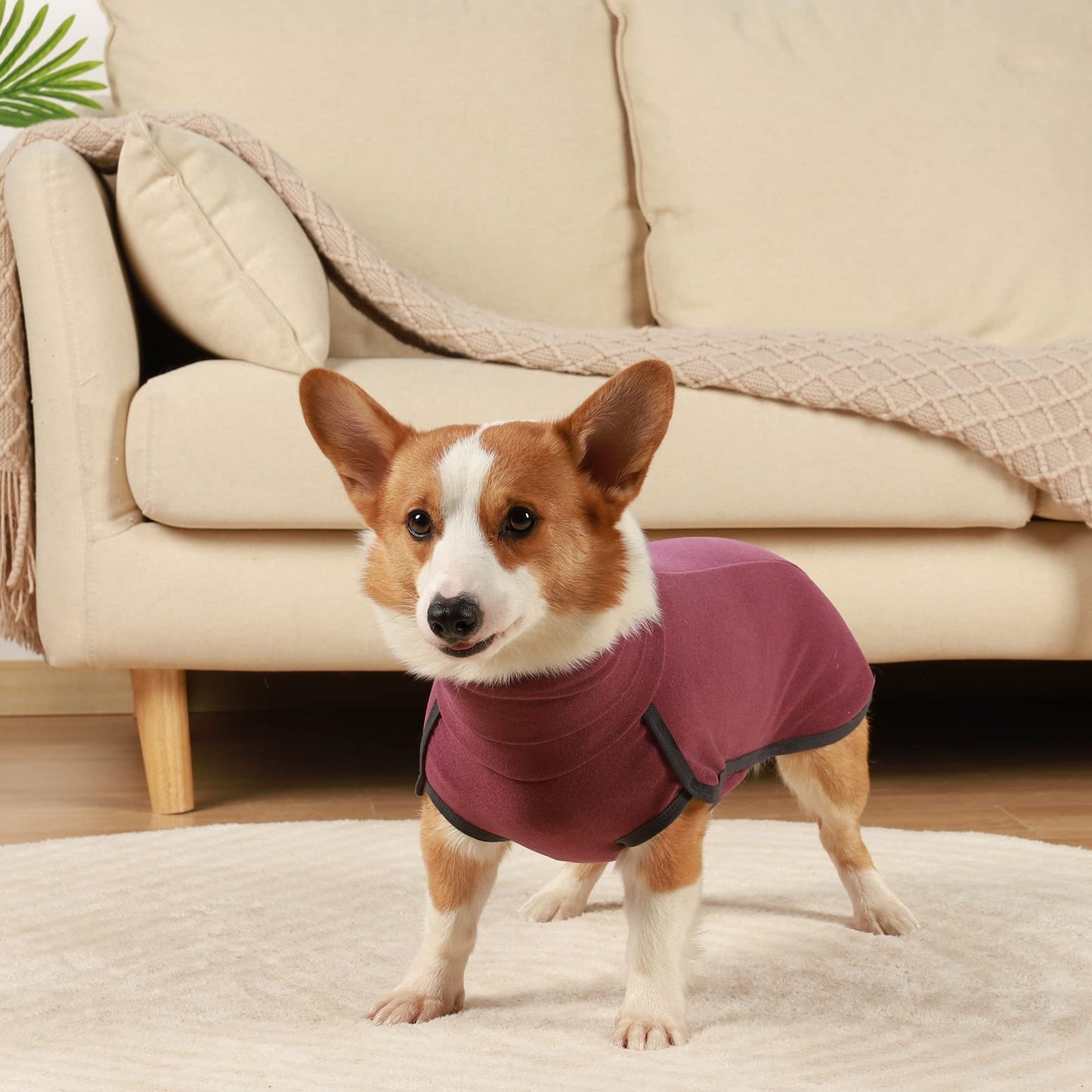 Abrigo Jersey Perro, Disfraz, Ropa para Perros Pequeños y Medianos, Abrigo Suave y Cálido para Perro Grande - Rojo Oscuro L