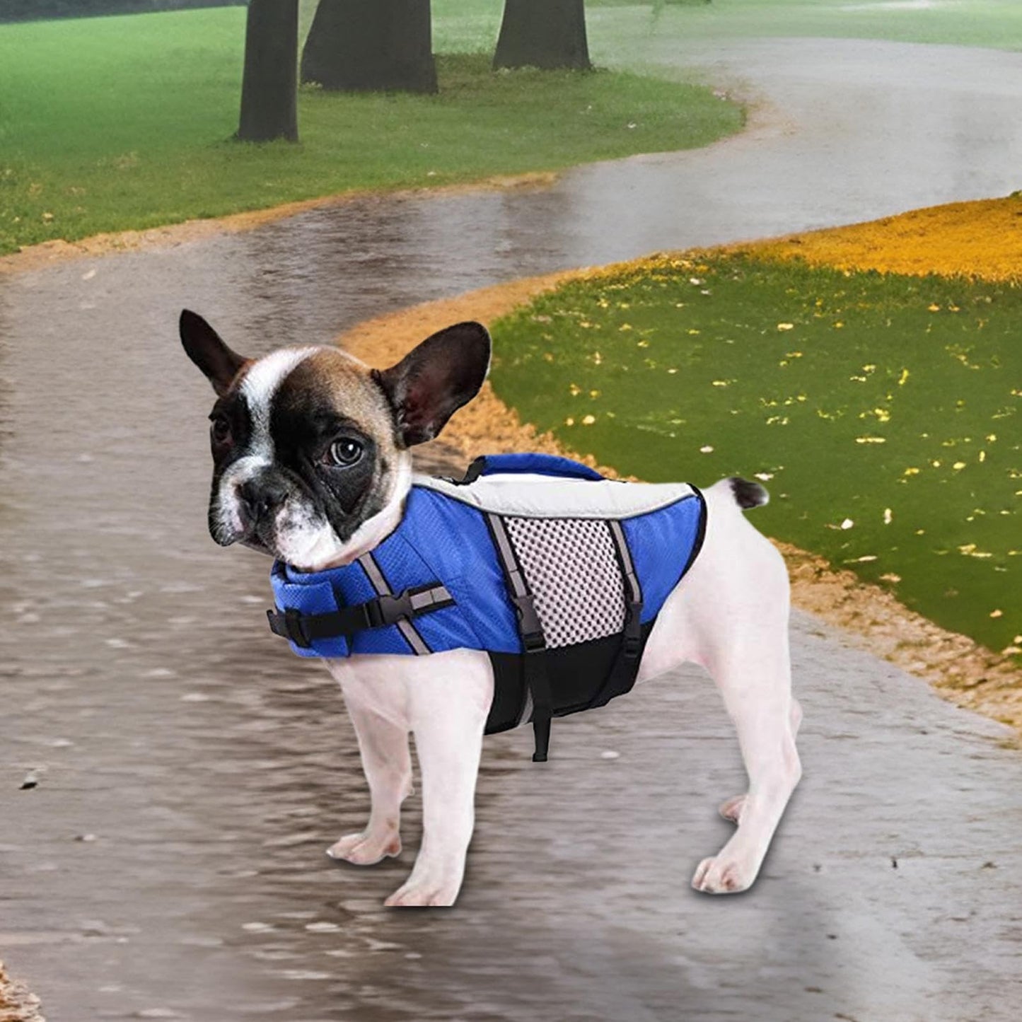 Chaleco Salvavidas para Perros, Tiras Reflectantes, Soporte de flotación para Kayak, Piscina, Viajes, Lago, Playa, Barco