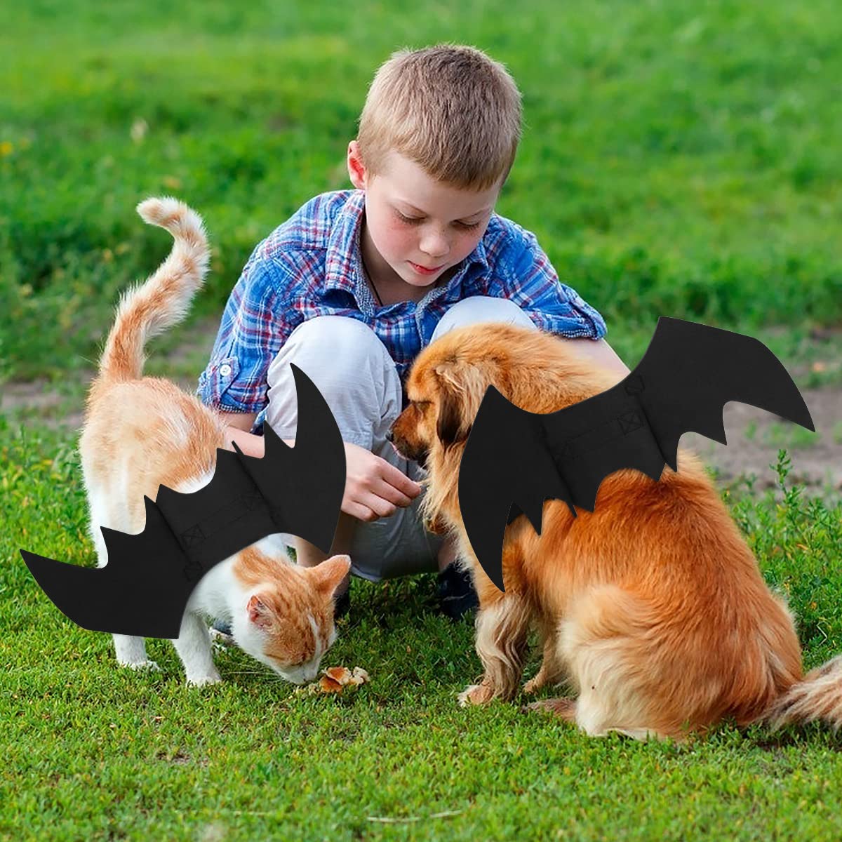 disfraz de perro de murciélago de halloween,disfraz halloween gato alas murcielago perro disfraces para perros halloween