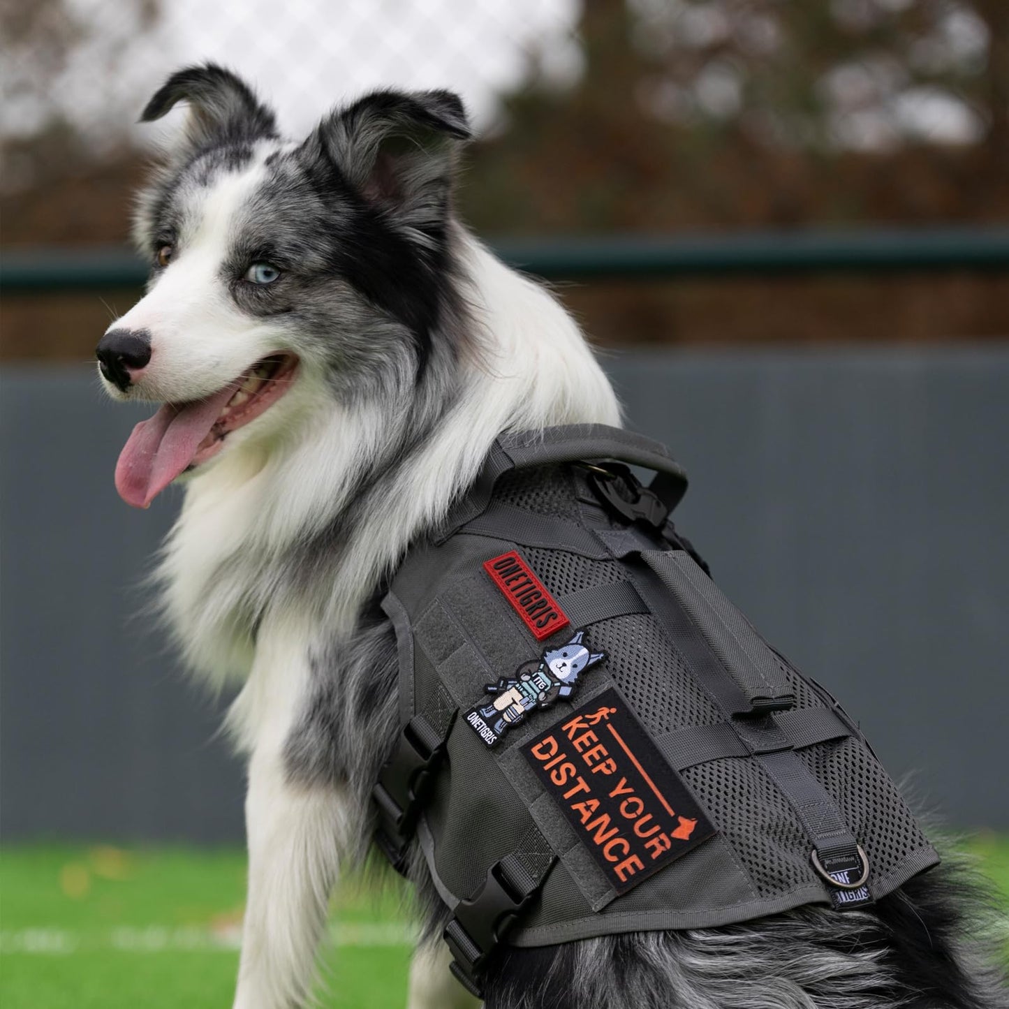 Arnés para perros, malla de aire, ajustable, ultratranspirable, para perros grandes/medianos con 2 asas