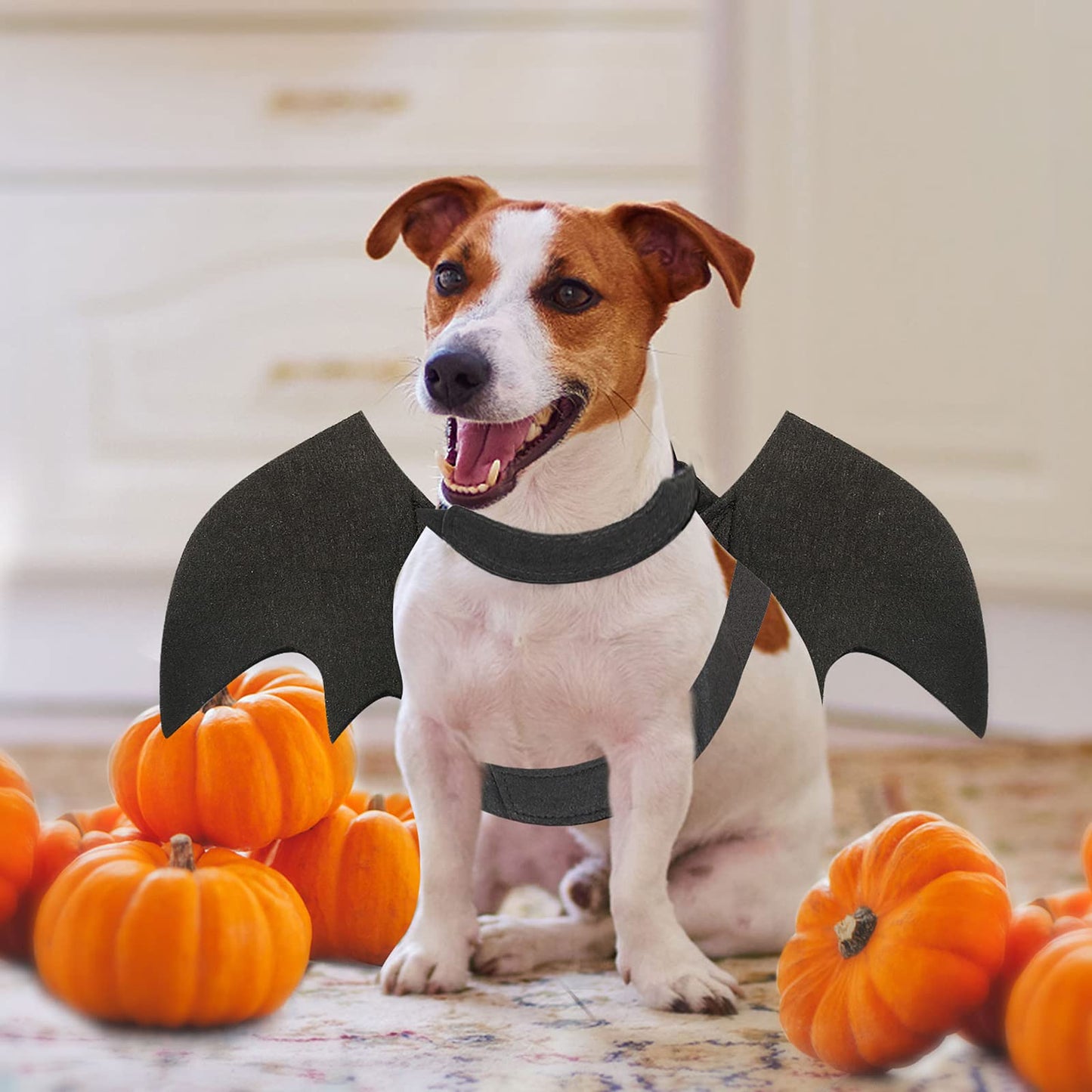 Disfraces de Halloween para Mascotas - Disfraces de Halloween para Mascotas, Disfraz de Mascota de Halloween Cosplay de alas de murciélago Disfraz de Perro para Fiesta