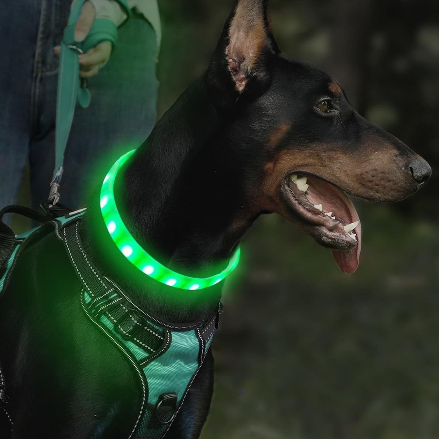 Luces para collar de perro, luces intermitentes recargables, collar de silicona suave impermeable con 9 modos intermitentes, cómodo collar de perro intermitente, luces de collar de perro para