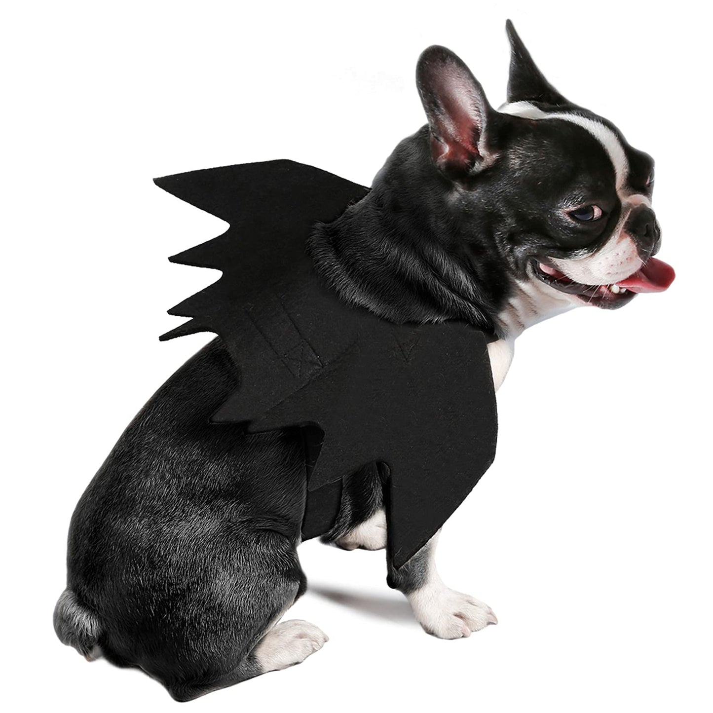 Disfraces de Halloween para Mascotas - Disfraces de Halloween para Mascotas, Disfraz de Mascota de Halloween Cosplay de alas de murciélago Disfraz de Perro para Fiesta