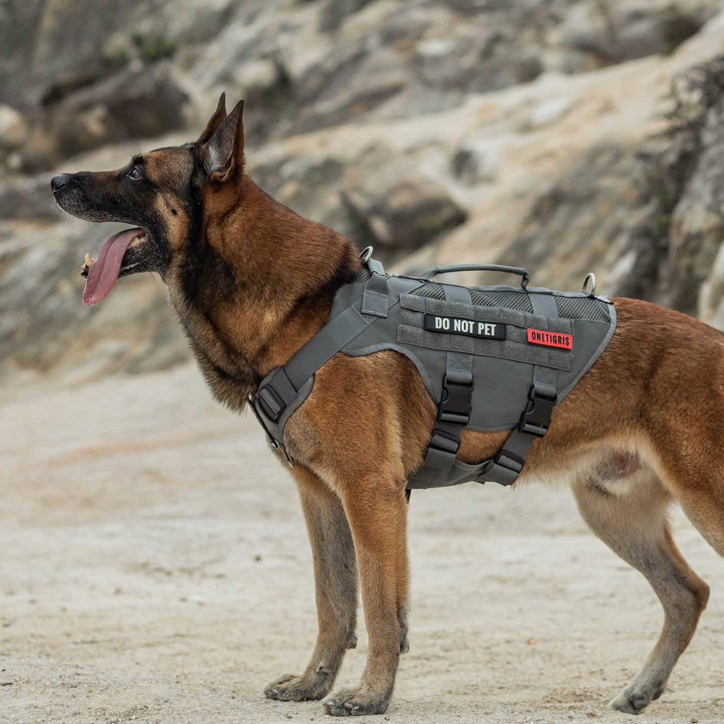 Arnés para perros, malla de aire, ajustable, ultratranspirable, para perros grandes/medianos con 2 asas