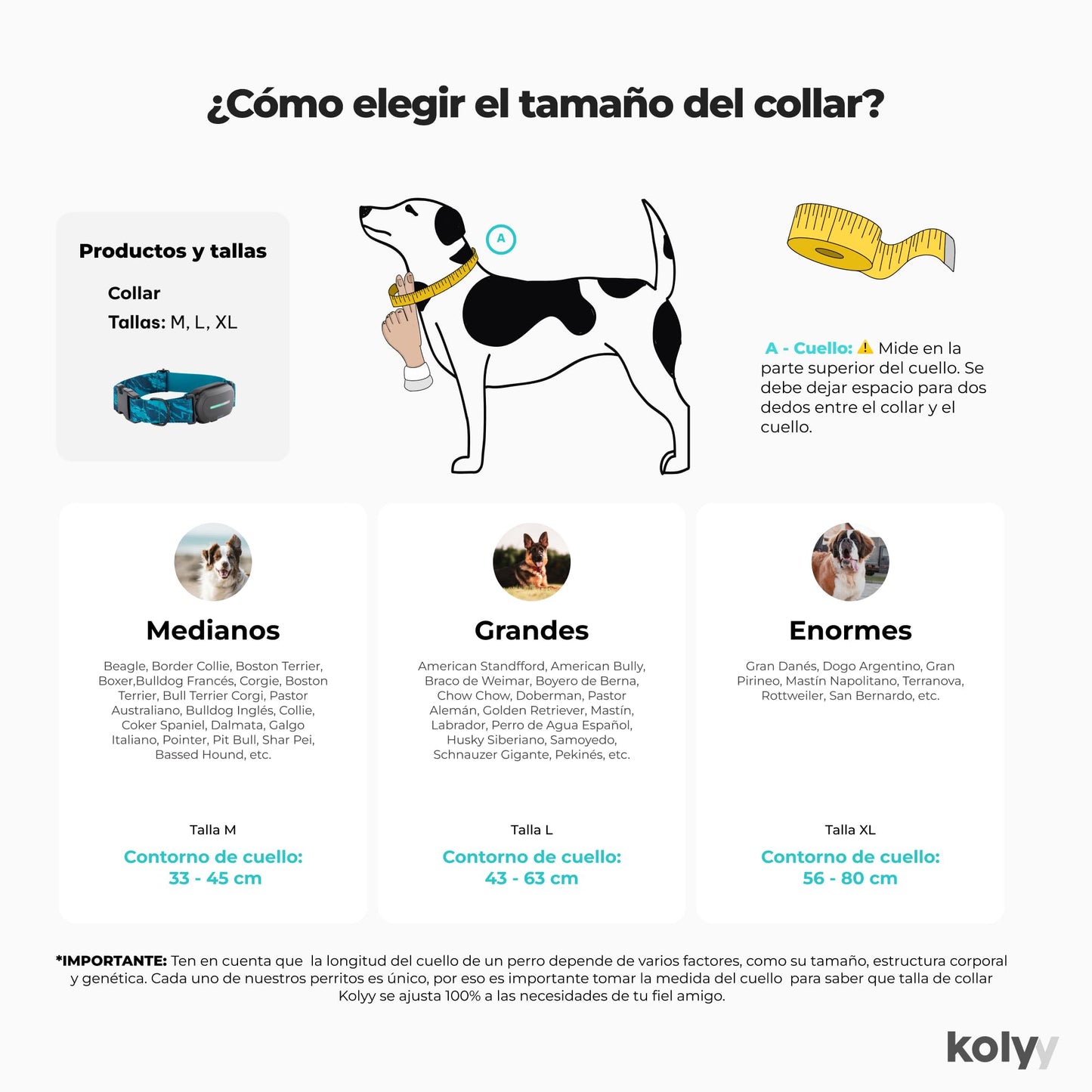 Kolyy Series 2 - Collar GPS para Perros Hecho en España - Localizador GPS Perros con Control vía App - Localización en Tiempo Real y sin Límite de Distancia –Control Actividad, Reposo, Paseos y Rutas