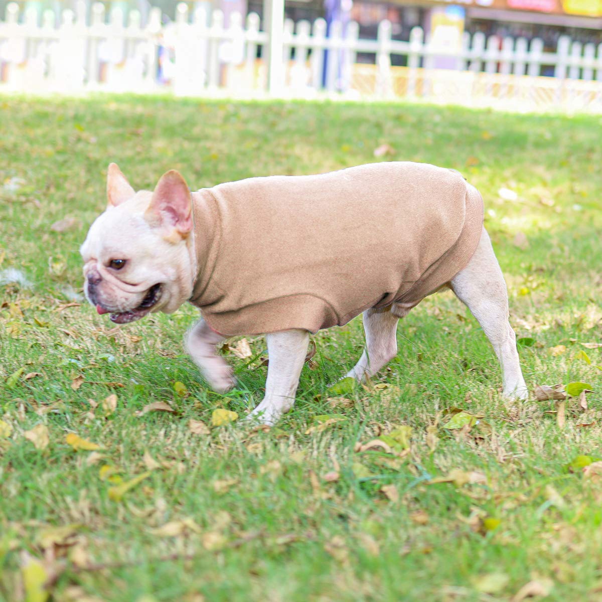 Abrigo Jersey para Perro Pequeño- Ropa para Perros y Gato Chaleco Suéter para Invierno para Perro Mascotas pequeño y medianos L Beige