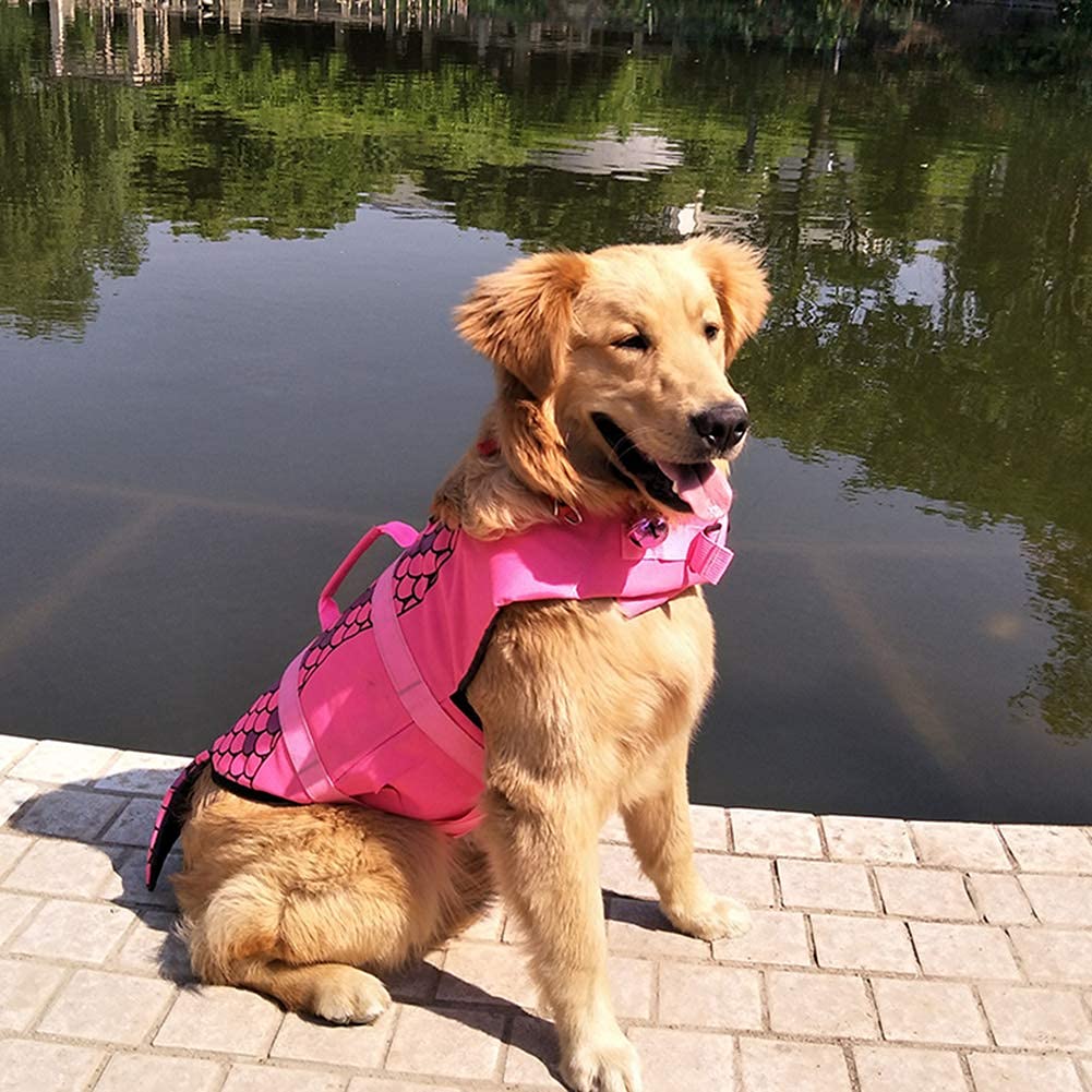 Chaleco Salvavidas para Perros, Chalecos Flotante para Piscina de Cachorros, Ideal para Nadar, Surfear, Navegar y para Que tu Cachorro esté Seguro en el Agua