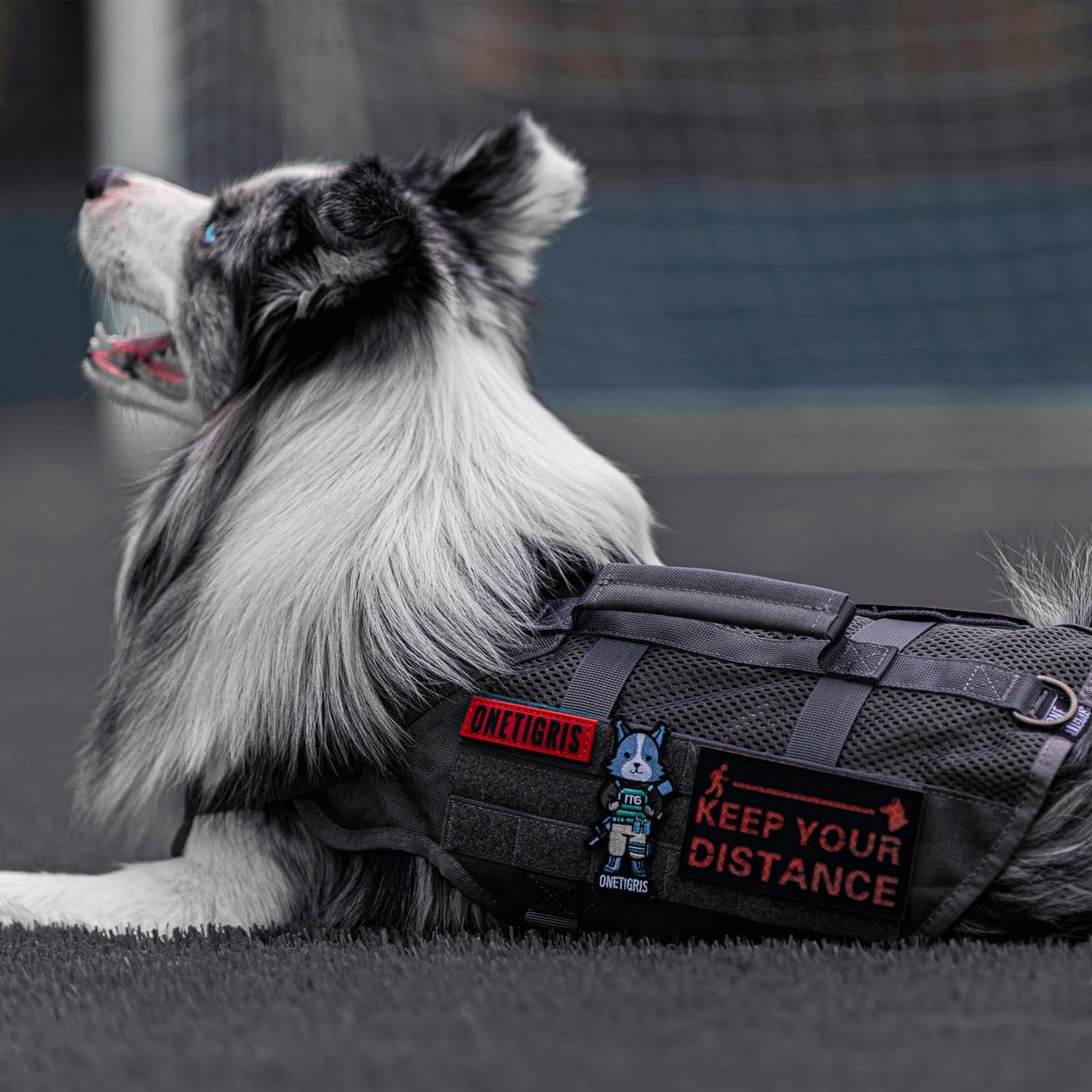 Arnés para perros, malla de aire, ajustable, ultratranspirable, para perros grandes/medianos con 2 asas