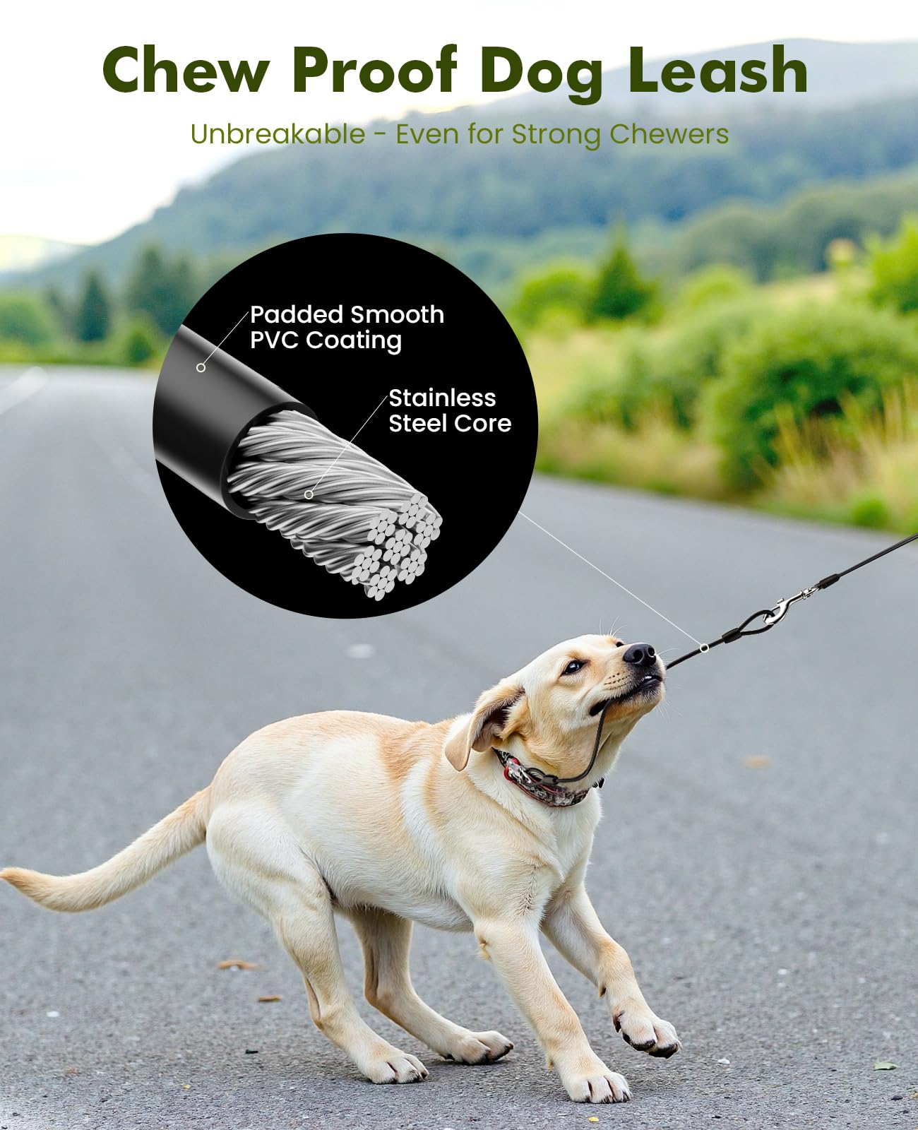 Correa Perro Extensible 8 Metros, Correa para 15-50 kg, con Cuerda Antimordida de 46cm, Bolsas Higiénicas y Portabolsa| 360° Antienredos| Paseo de Perros, Entrenamiento, días de Iluvia, Verde