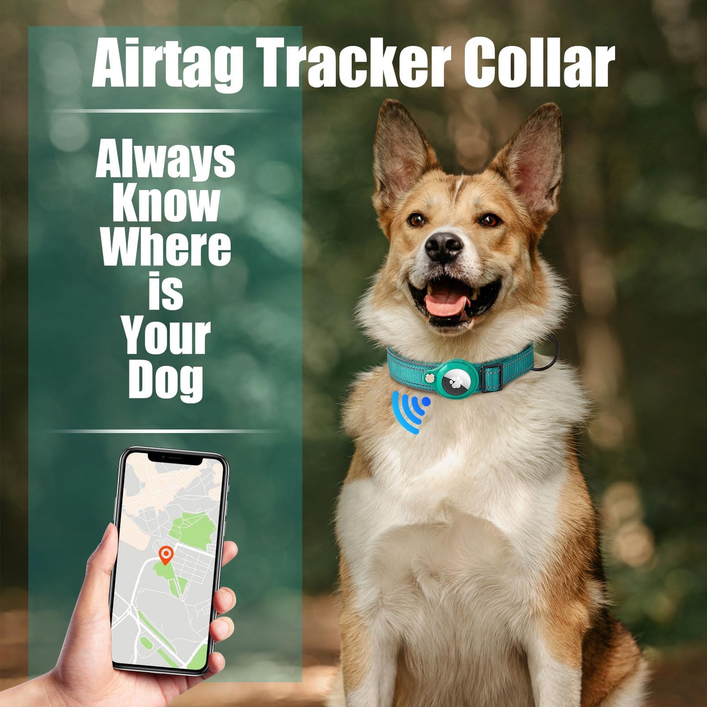 Collar de Perro, Reflectante Collar Perro Acolchado para Apple AirTag, Ajustable Táctico Nailon Collar Perro para Perros Pequeño, Mediano y Grande (Cian, S)