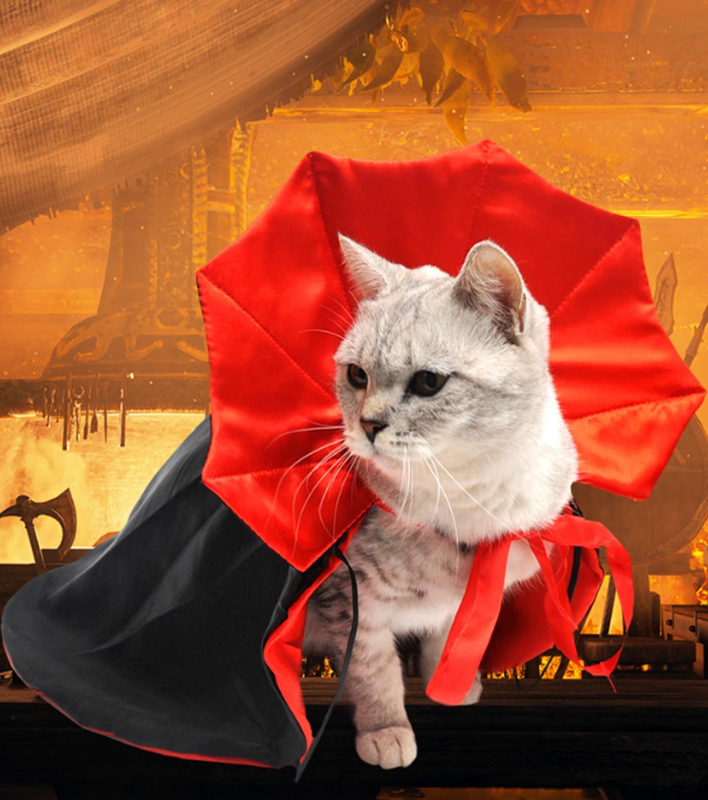 Disfraz de Halloween para Perro Gato, Disfraces de Halloween, Capa de Vampiro para Mascotas, Capa de Vampiro con alas de murciélago de melón, Disfraces de Cosplay para Mascotas (M)