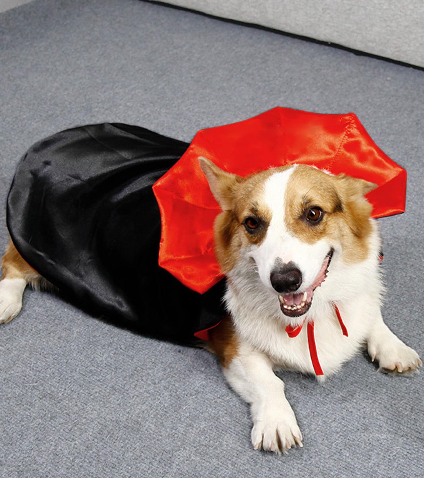 Disfraz de Halloween para Perro Gato, Disfraces de Halloween, Capa de Vampiro para Mascotas, Capa de Vampiro con alas de murciélago de melón, Disfraces de Cosplay para Mascotas (M)