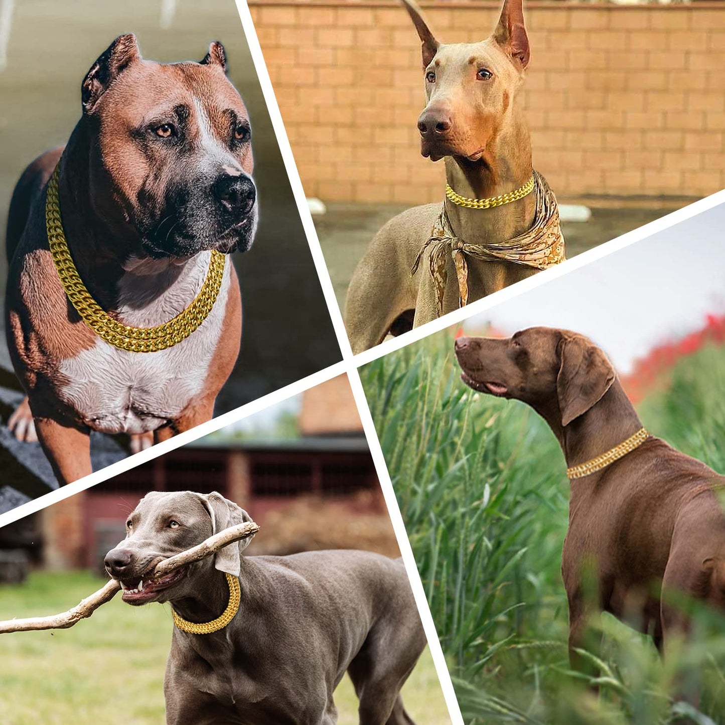 Collar de Perro de Acero Inoxidable de Oro de 18 Quilates, Ajustable, Collar de Perro de eslabones cubanos de Metal, a Prueba de masticación, Cadena de Doble Fila para Perros Grandes, pequeños y