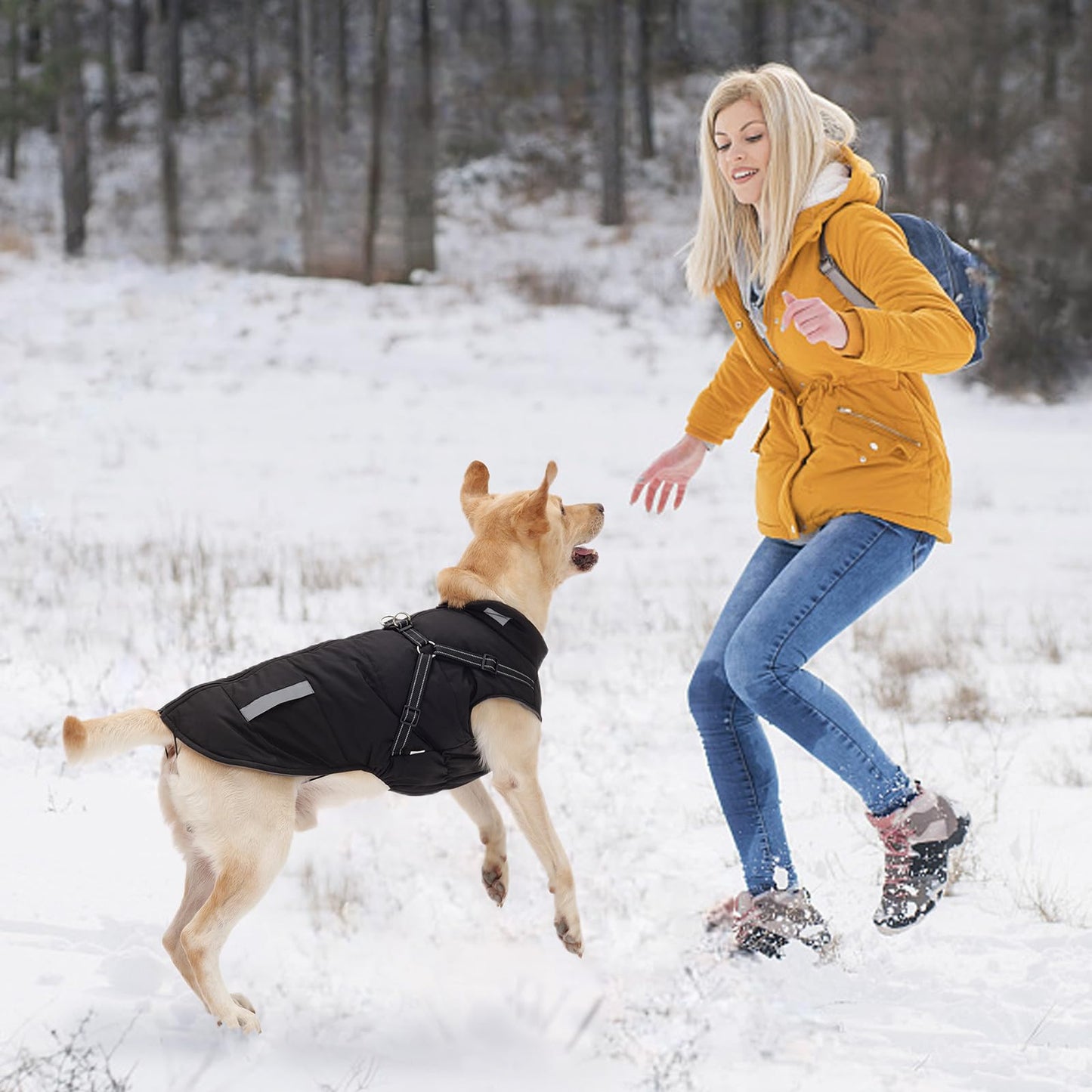 Abrigo Invierno Perro, Abrigo Impermeable para Perros Resistente al Viento, Chaqueta para Perros con Tiras Reflectantes Seguras & Arnés Ajustable para Perros pequeñas, Medianas y Grandes