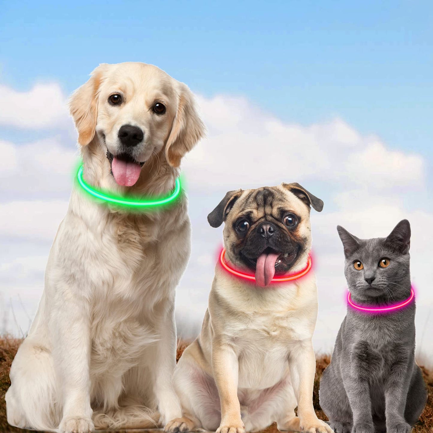 Collar Luminoso Perro, Collar LED Recargable por USB Tamaño Ajustable, Collar Impermeable de Seguridad, Reutilizable para Perros Pequeños Medianos Y Grandes (Verde)