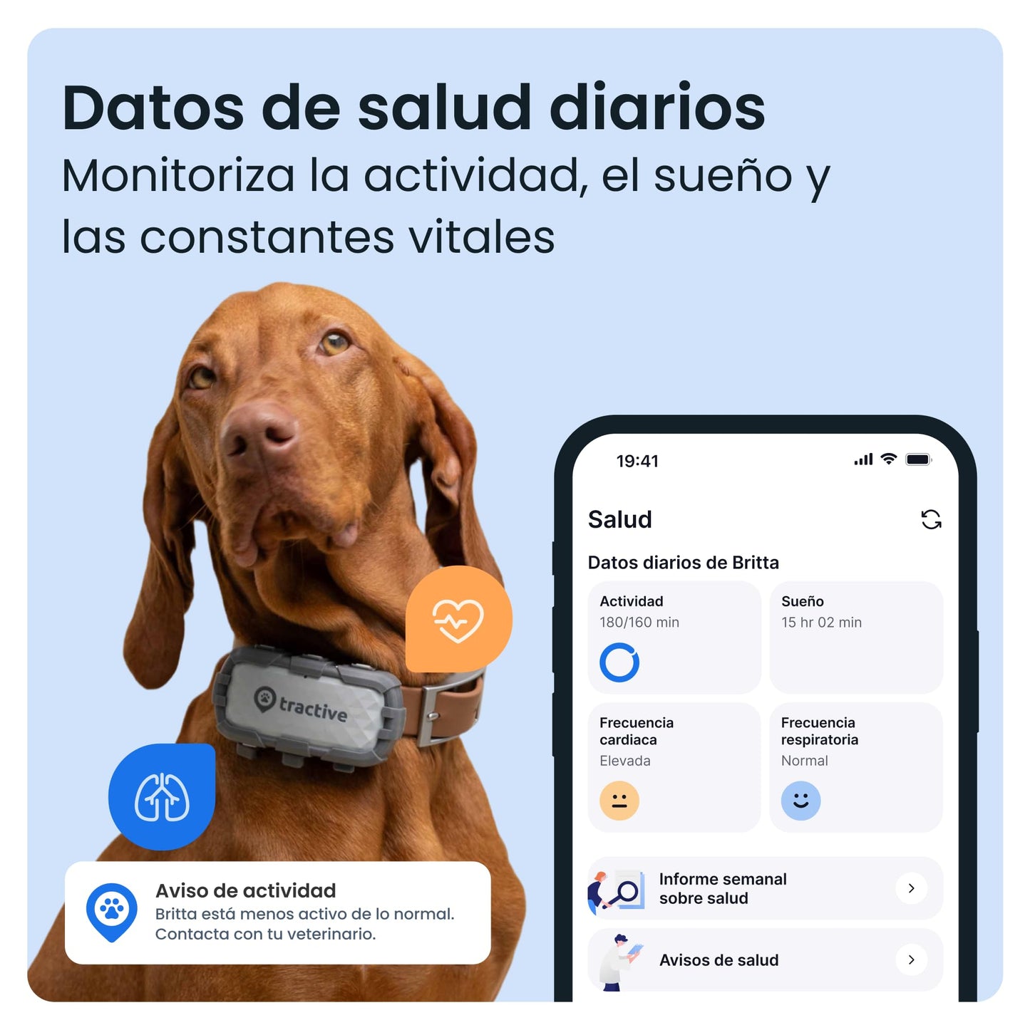 Tractive - GPS perros XL Adventure | Carcasa fibra de vidrio | Hasta 1 mes de batería | Líder de mercado | Localización mundial en vivo | Alertas antifuga | Monitor de actividad con avisos de salud
