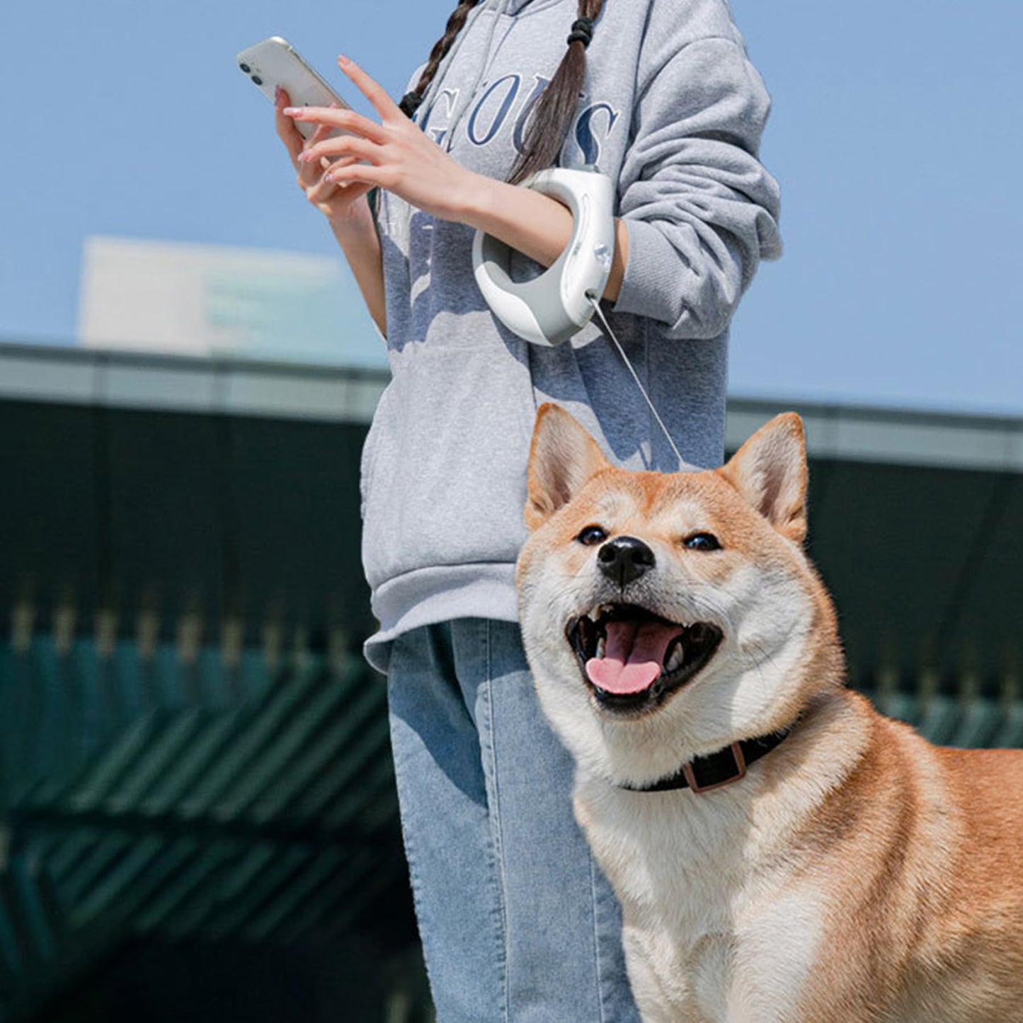 Genérica Correa Retráctil Para Perros 300 cm Blanca con Linterna Recargable Mango Ergonómico Redondo Correa de Perro con Cerradura Segura y Resistente