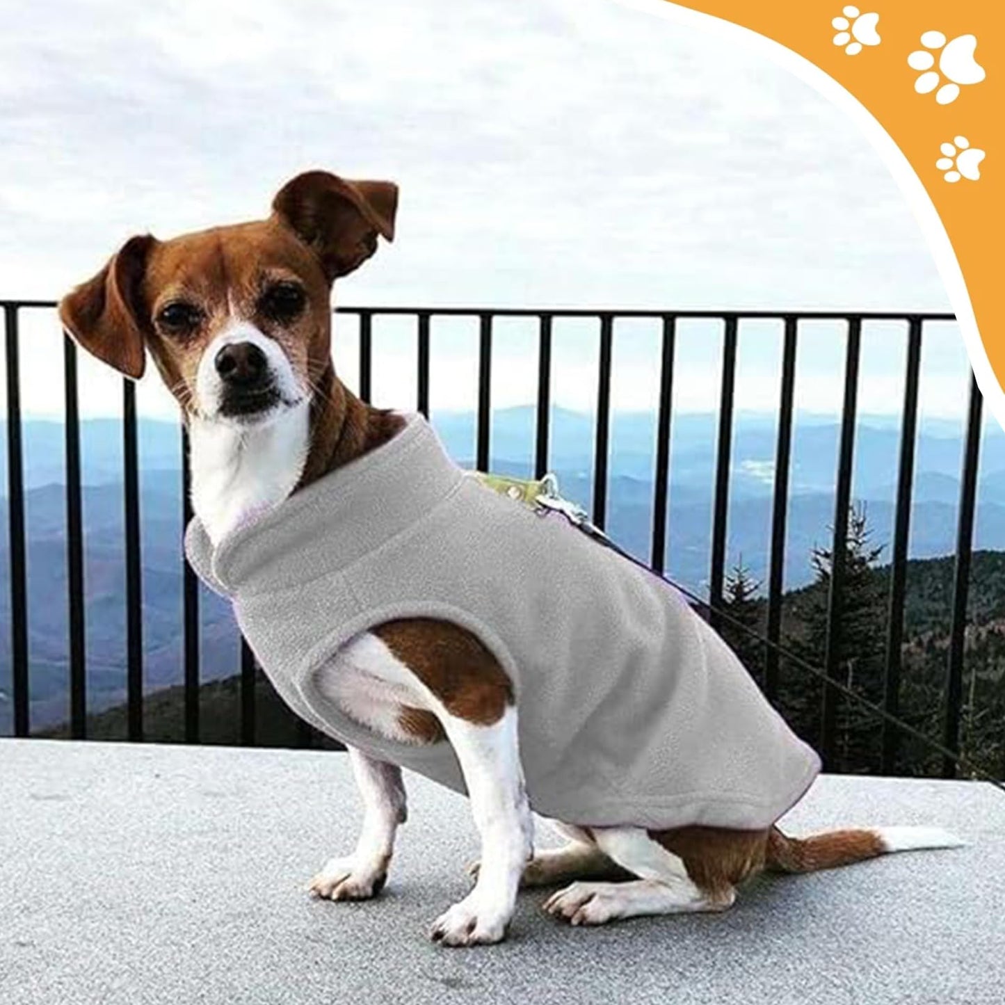 Abrigo 2 Piezas Perro pequeño, Ropa Cálida de Invierno, Ropa Perro con Anillo en D, para Perros y Gatos pequeños M (MarróN, Gris)