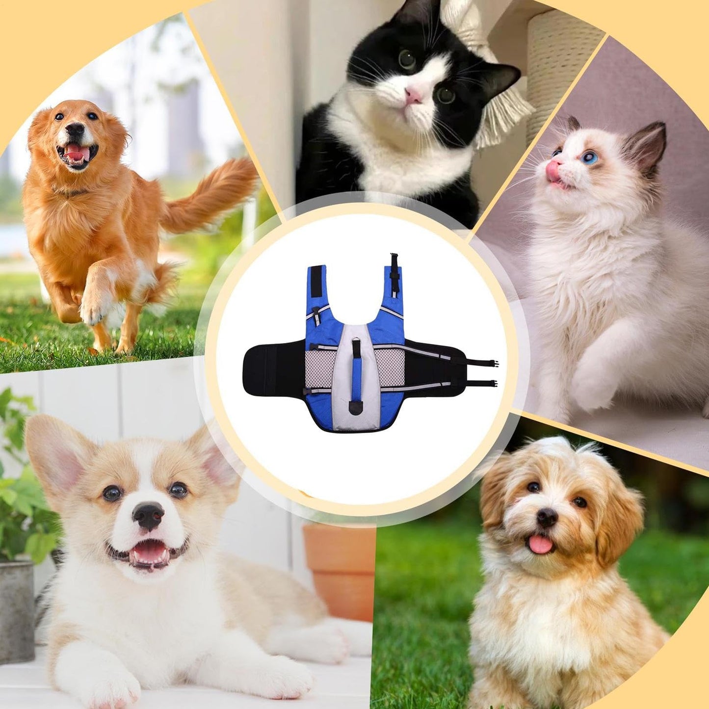 Chaleco Salvavidas para Perros, Tiras Reflectantes, Soporte de flotación para Kayak, Piscina, Viajes, Lago, Playa, Barco