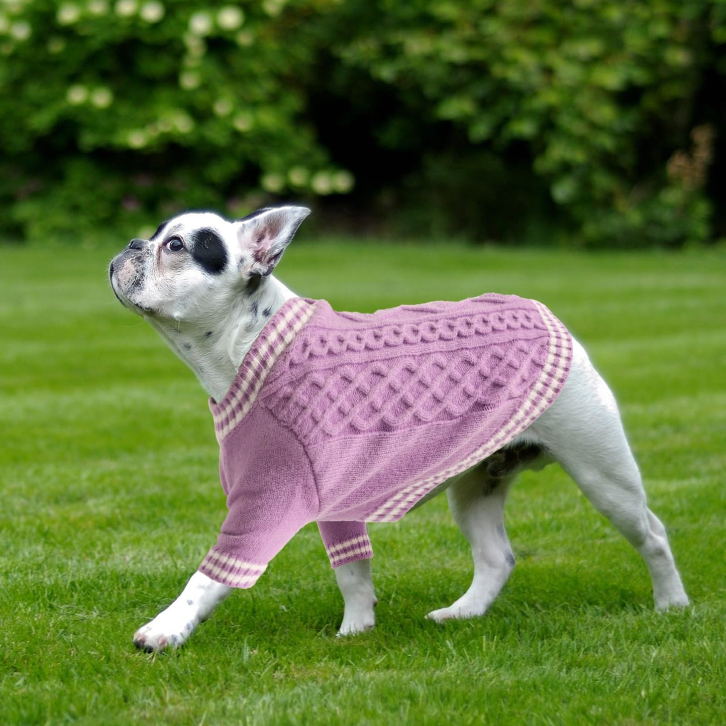 Abrigo 2XL Jersey Perro Navidad Suéter para Perros Ropa Suéter para Perros Pijama Perro Cálido de Invierno Jersey para Perro Pequeño Mediano y Grande, Púrpura