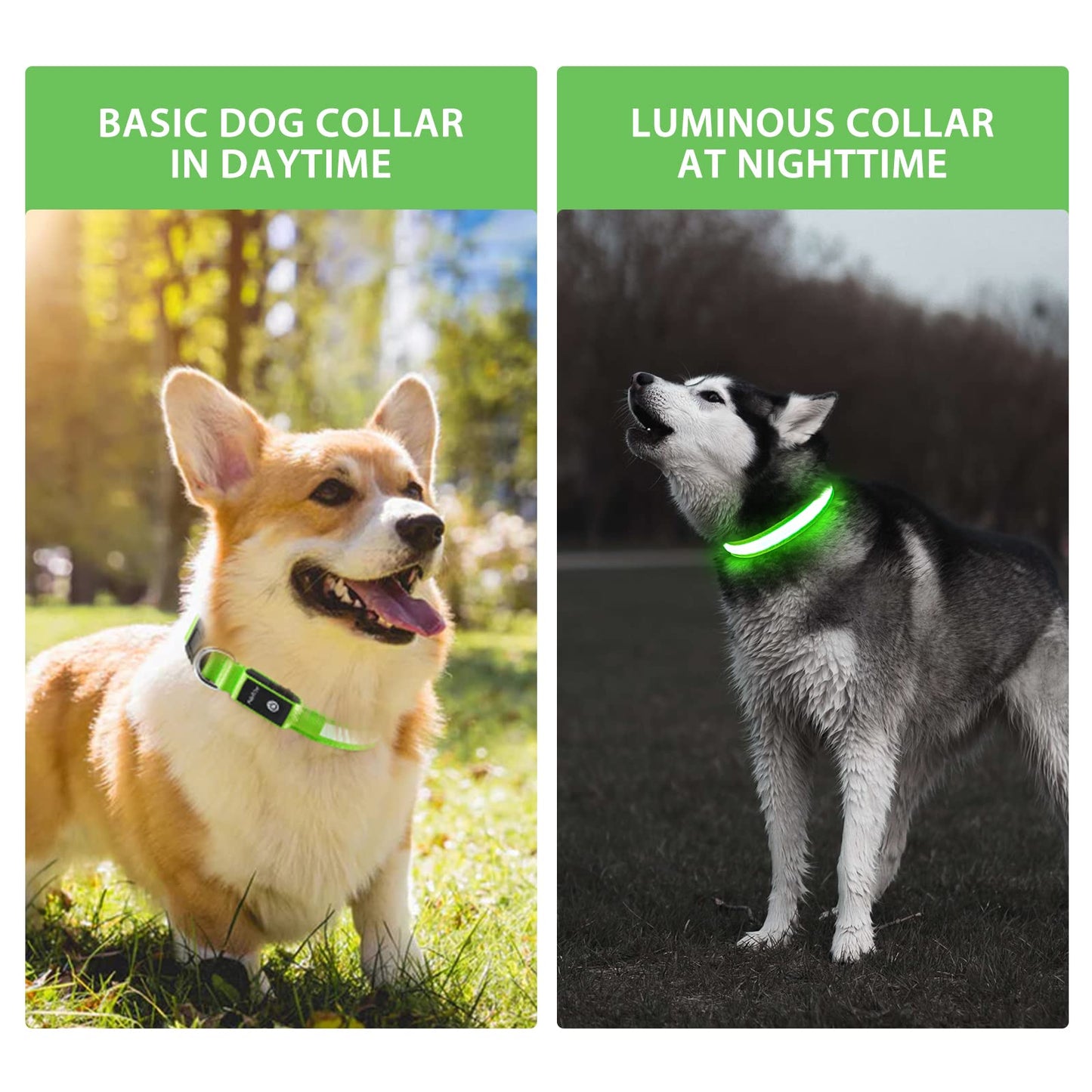 PcEoTllar Collar Luz para Perro Recargable, Collar LED Impermeable con 7 Colores Ajustable para Perros Pequeños, Medianos y Grandes