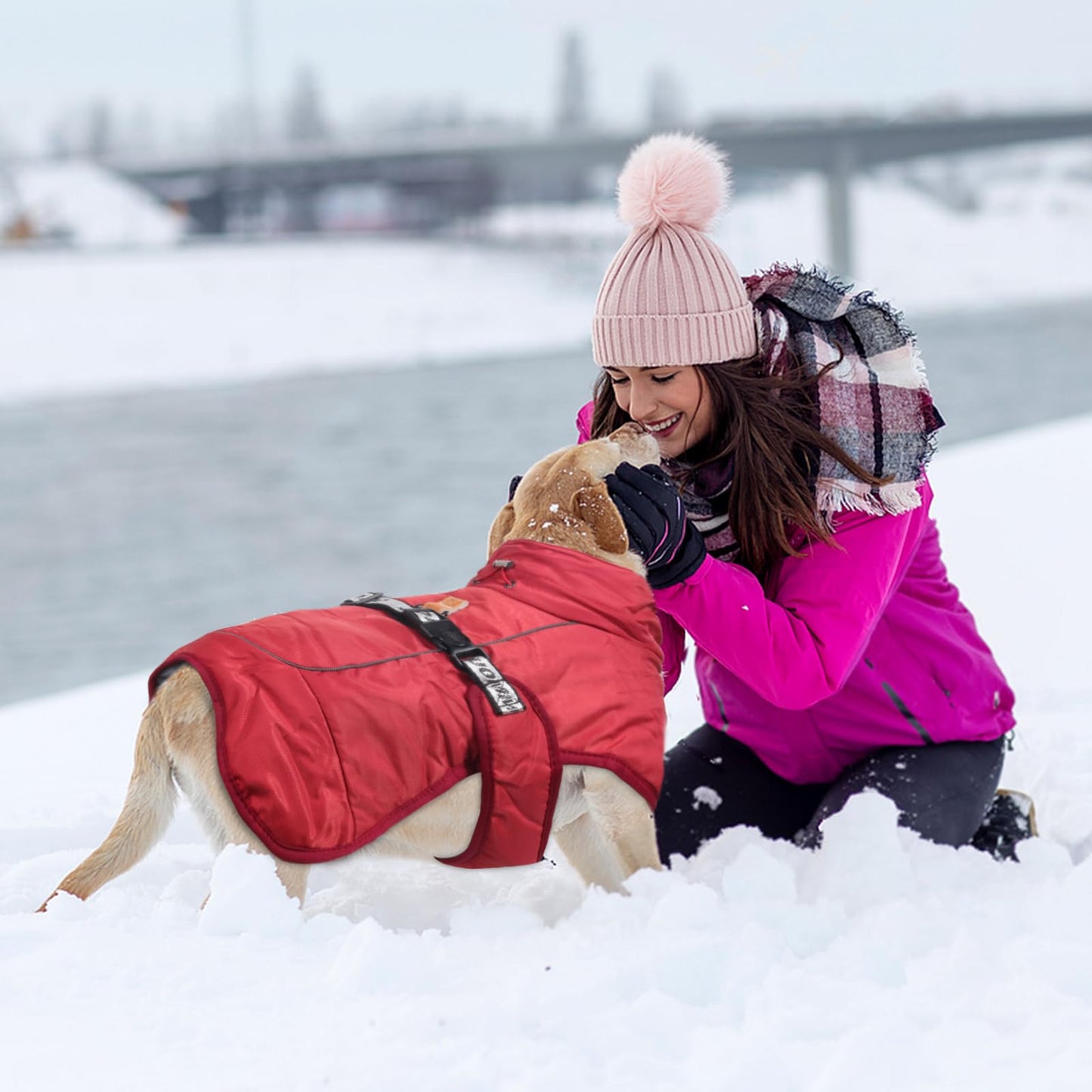 Abrigo de Invierno para Perros Chaqueta a Prueba de Viento Cálido para Perros Medianos Grandes Chaleco Reflectante Ajustable Perro Ropa al Aire Libre para Mascotas