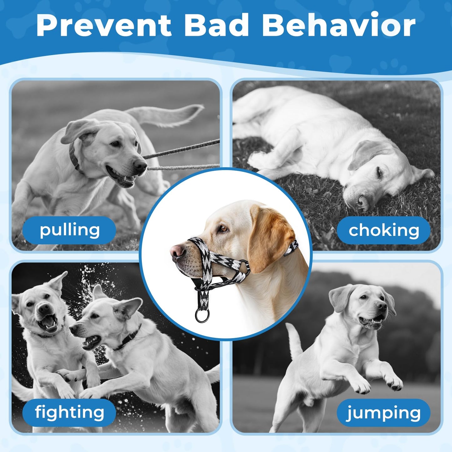 Adiestramiento canino antitirones Collar para Perros pequeños, medianos y Grandes, Collare de Cabeza con diseño de patrón de Letras, Ajustable y Ligero, Previene el tirón(S, Westilo Negro)
