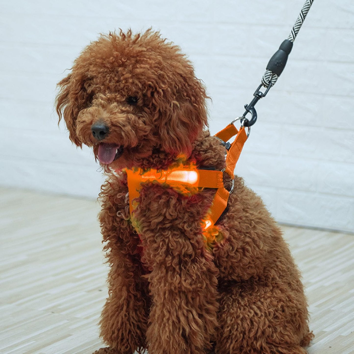 Arnés 2 piezas Light Up, para Perros Luminoso Recargable, Luminoso Arnés para Perros, Iluminado Recargable Para Paseo Nocturno Para Pequeños M