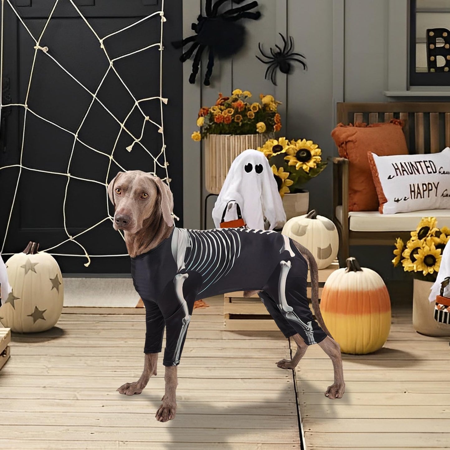 Disfraces De Halloween para Perros De Tamaño Grande,Disfraces De Esqueleto para Perros Halloween - Trajes Transpirables para Celebrar en Casa Fiestas Navideñas y Cosplay