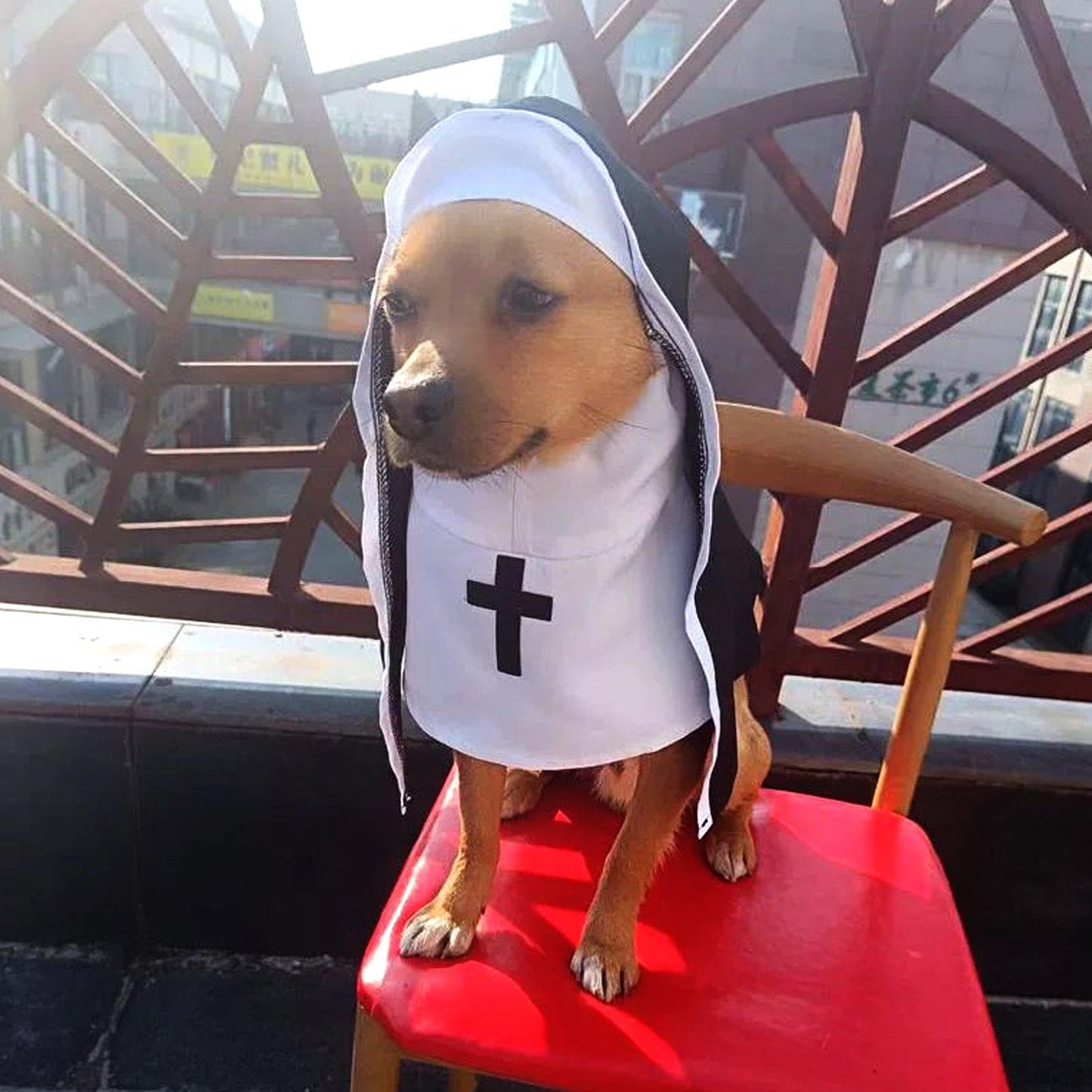 Disfraz De Monja para Perro Y Gato, Bonito Divertido Disfraz De Halloween para Mascotas, Traje De Manto Gato Transpirable Ligero, Capa Blanca Y Negra para Sesiones De Fotos, Fiesta De Halloween