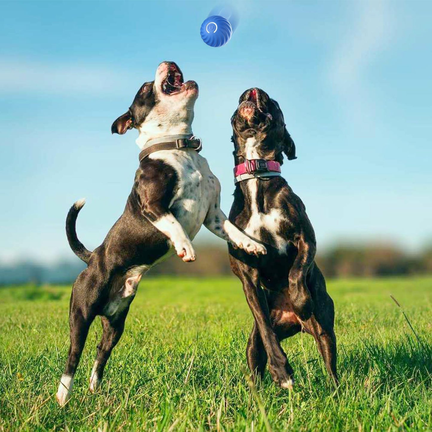 Pelota interactiva para perros Bola inteligente de movimiento automático giratoria para perro,bola de perro en movimiento, duradera y resistente al desgaste para mascotas, caza, persecución