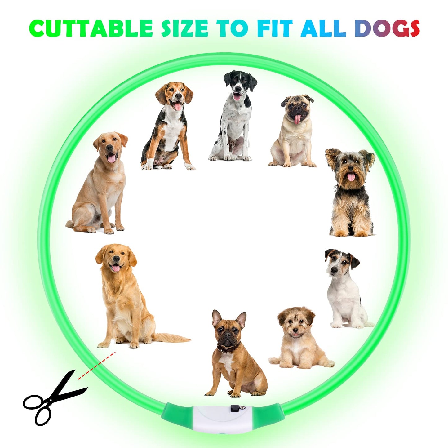 Collar Luminoso Perro, Collar LED Recargable por USB Tamaño Ajustable, Collar Impermeable de Seguridad, Reutilizable para Perros Pequeños Medianos Y Grandes (Verde)