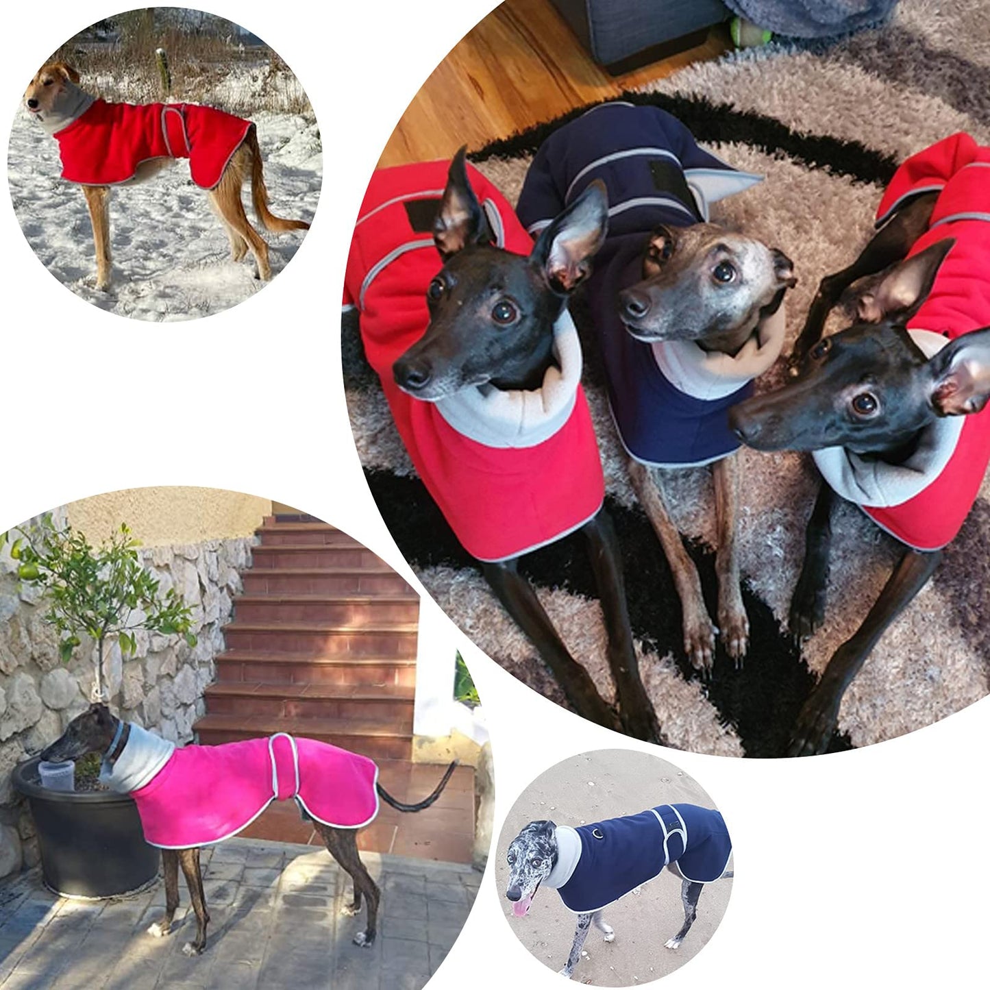 Geyecete - Abrigo con Forro Polar para Perro, con Bandas Ajustables, para Invierno Clima frío,Jersey con Agujero del arnés, para medianos y Grandes Perros Galgo-Rosa-XS