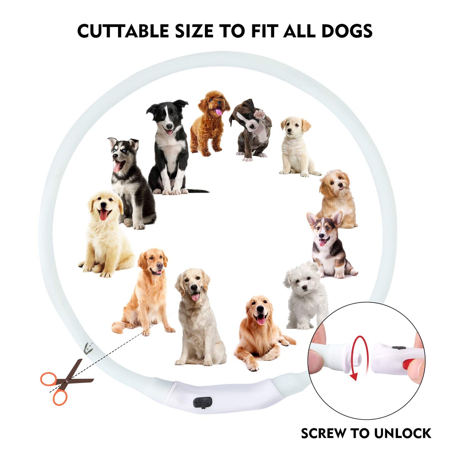 NOVKIN Collar LED para perro, recargable, RGB que cambia de color, luces impermeables que hacen que la mascota sea visible y segura para caminar por la noche, al aire libre, camping, para perros