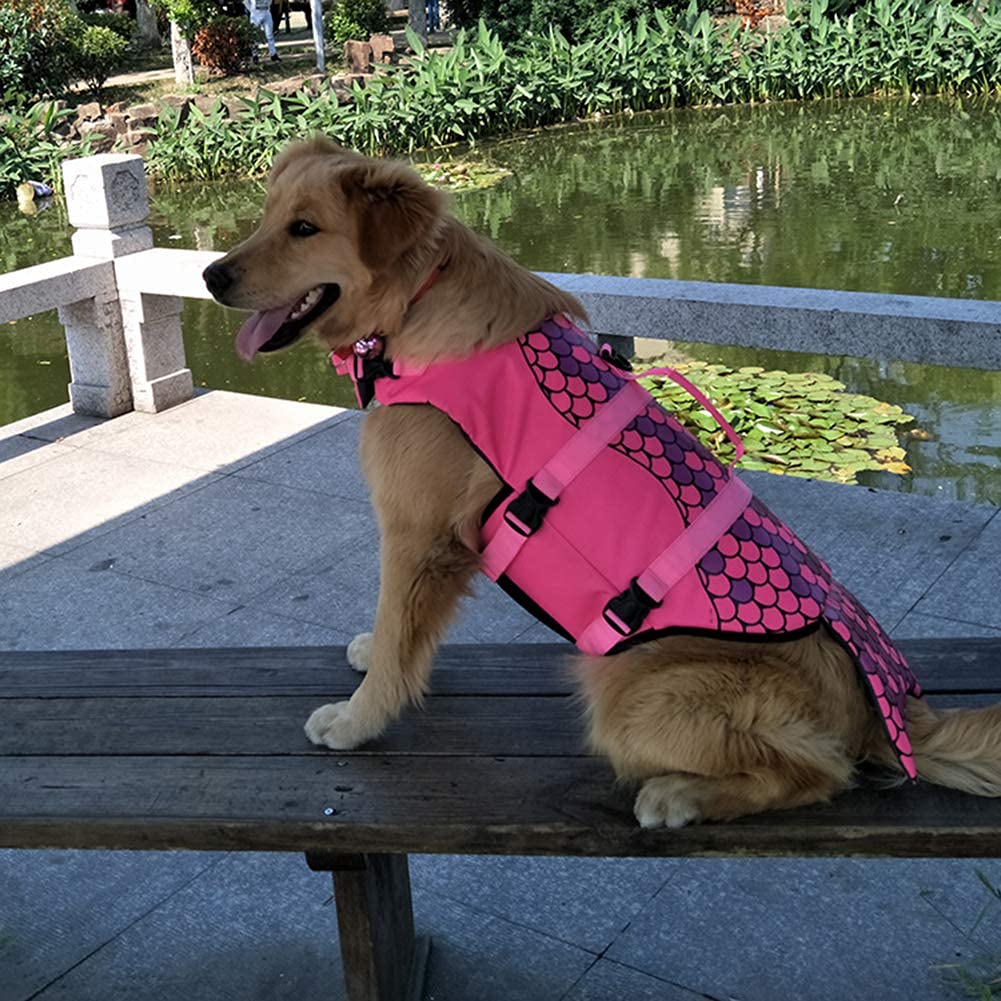 Chaleco Salvavidas para Perros, Chalecos Flotante para Piscina de Cachorros, Ideal para Nadar, Surfear, Navegar y para Que tu Cachorro esté Seguro en el Agua