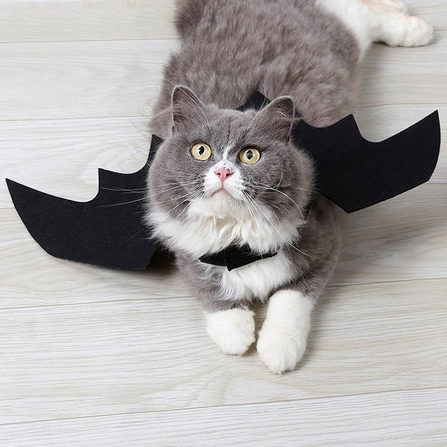 Disfraces de Halloween para Mascotas - Disfraces de Halloween para Mascotas, Disfraz de Mascota de Halloween Cosplay de alas de murciélago Disfraz de Perro para Fiesta