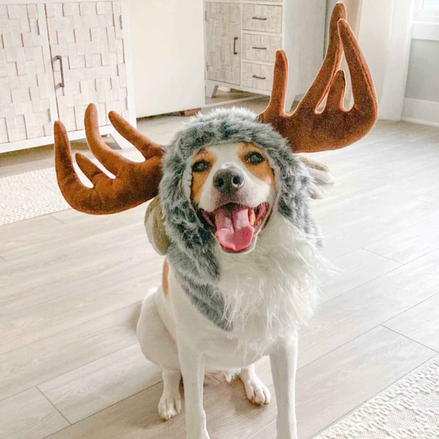 Disfraces de Reno para Perro, Bonita Peluca Peluda para Halloween, Navidad, Accesorios de Ropa para Mascotas (Alce, Talla L)