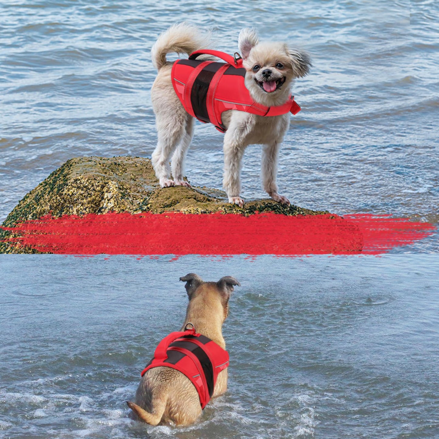Chalecos Aalvavidas para Perros, Flotador Ajustable para Mascotas con Asa, Traje de Baño de Seguridad para el Agua para Navegar en la Piscina de la Playa, Rojo, M