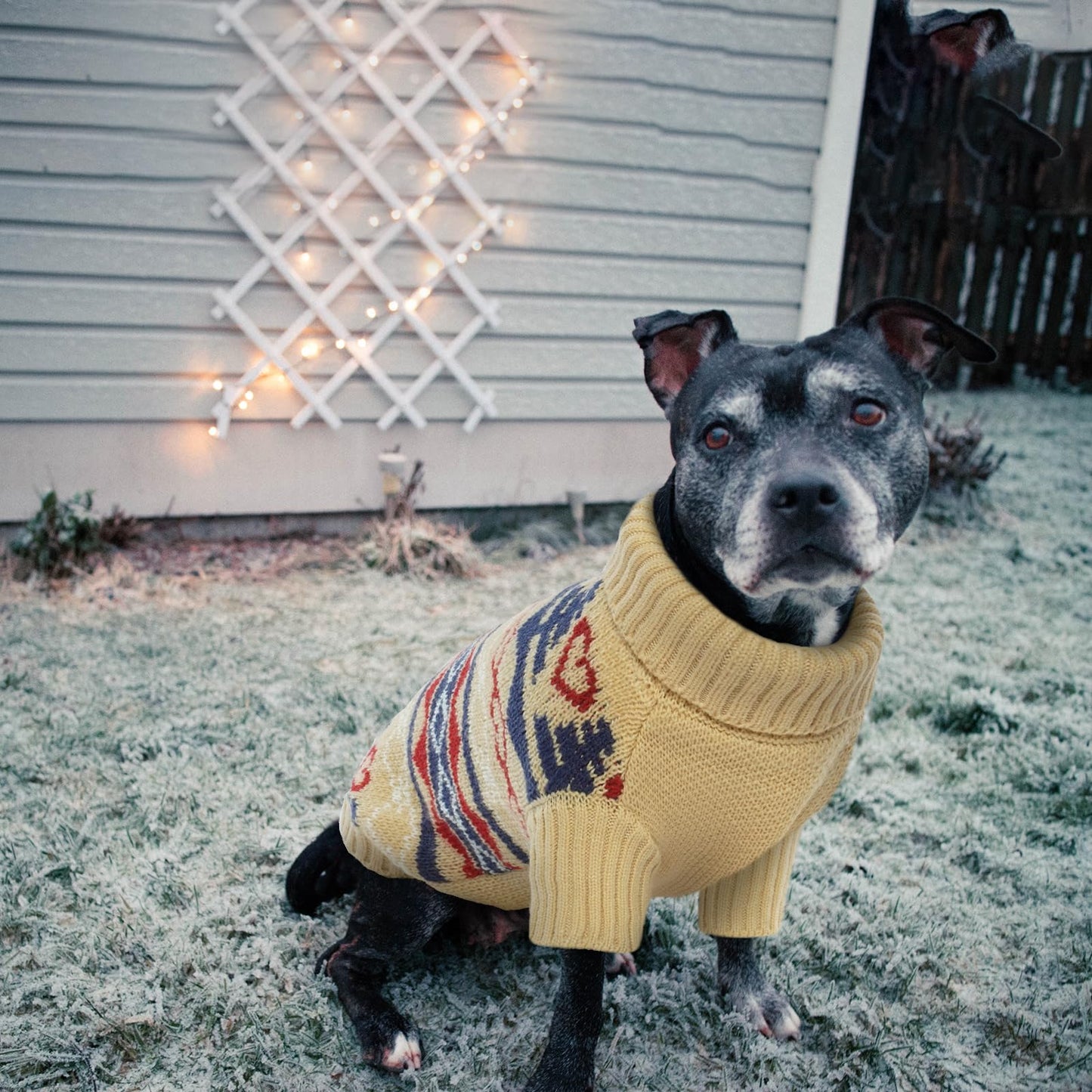 Abrigo para Perros/Gatos, Jersey Cálido Perros Ropa de Invierno Cómoda Abrigo para Mascotas Disfraz Cachorros Chaqueta Vestidos Navidad para Gatos Pequeños/Medianos Perros(Caqui, XS)