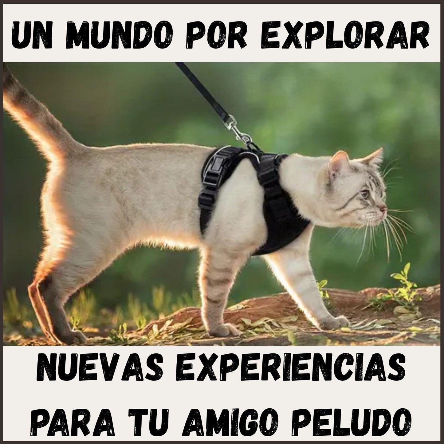 Arnes para Gatos, con Correa de 150cm, Antiescape, Cómodo y Reflectante, Fabricado en Malla Transpirable Suave, Arnes Gato, Cosas para Gatos, arnes Gato Pequeño. (XS, Negro)
