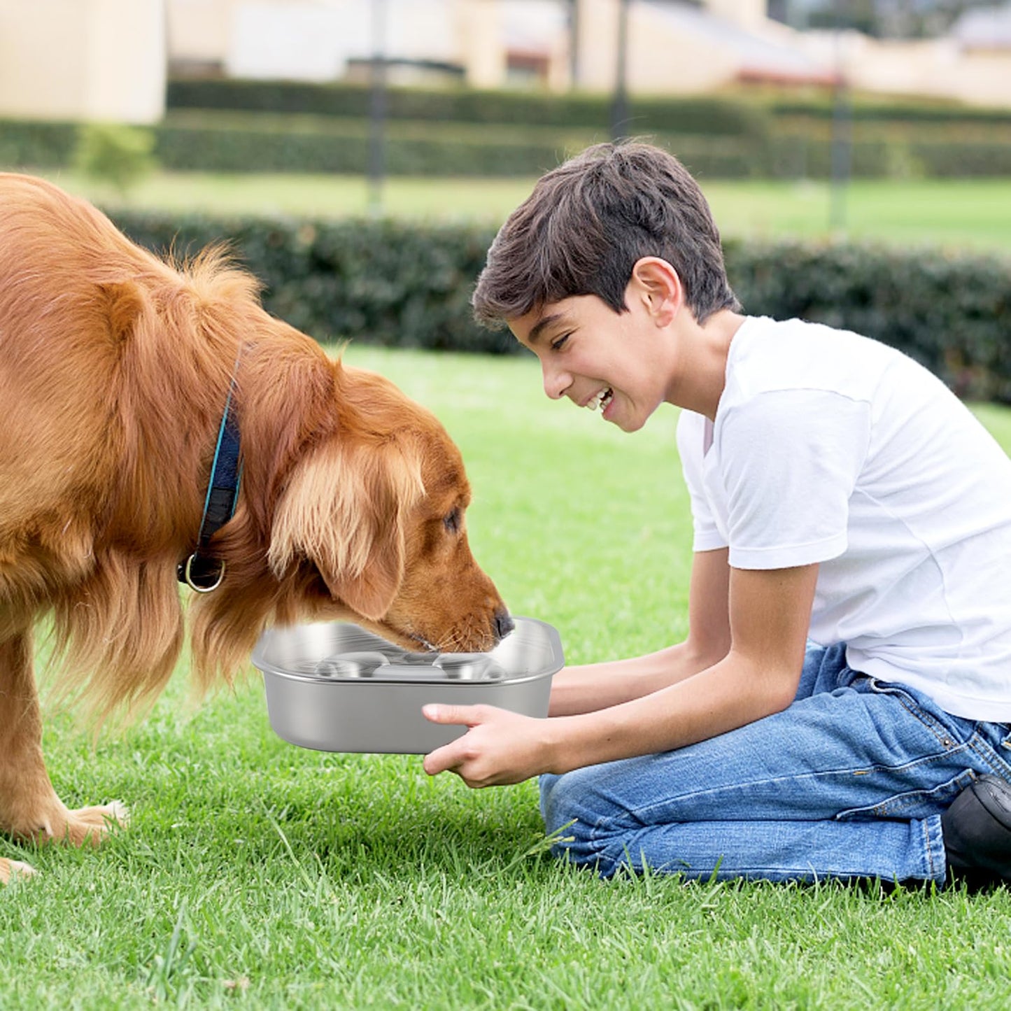 Comedero para Perro Mascotas de Acero Inoxidable,Comedero Lento para Perros,Comedero Perro Antivoracidad para Mascotas Medianas y Grandes, Plato Interactivo, Evita la Ansiedad