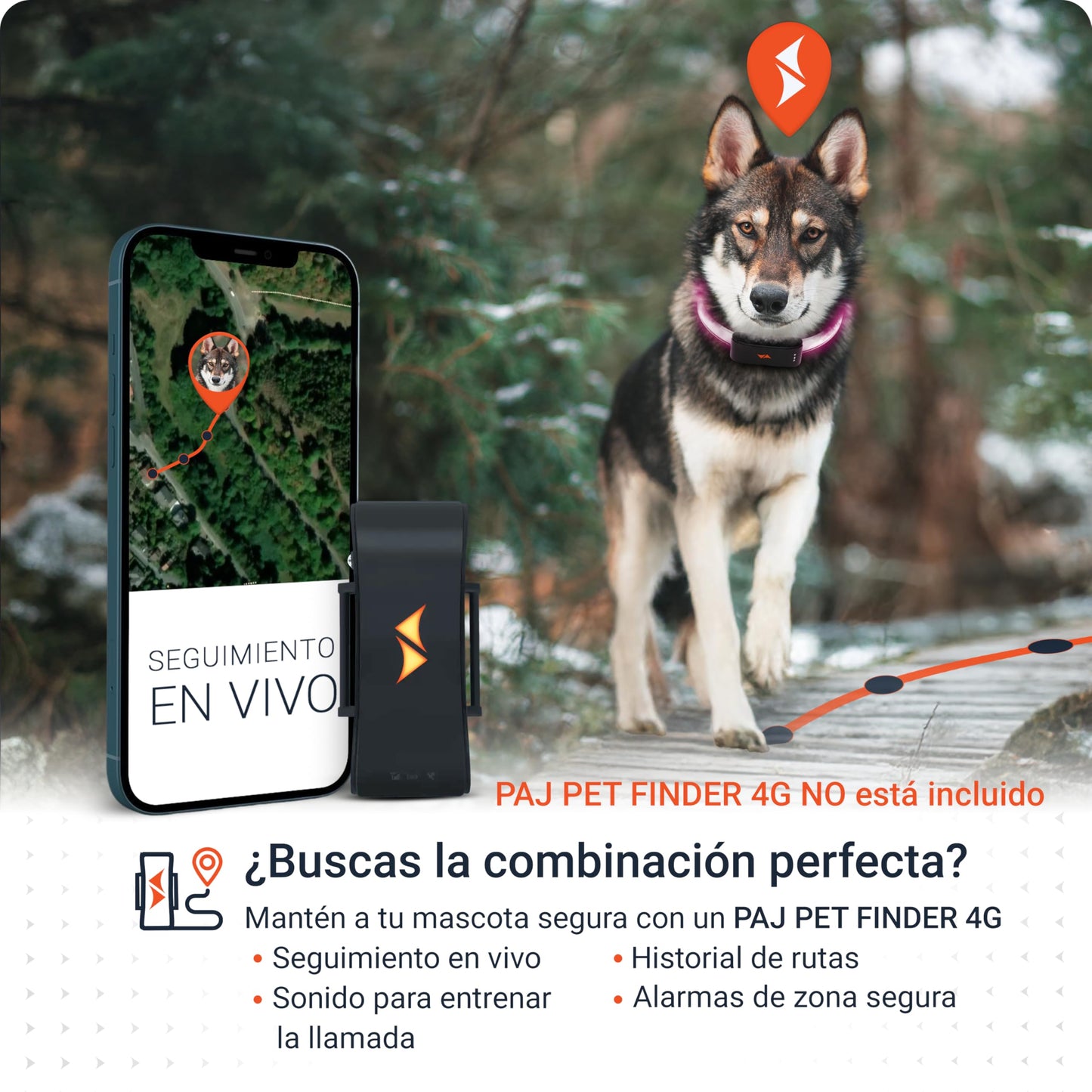 Collar Luminoso de Alta Intensidad para Perros de Todos los tamaños - Longitud Ajustable 20-70cm - 100% Impermeable - 7 Colores - Máxima Visibilidad y Seguridad Nocturna